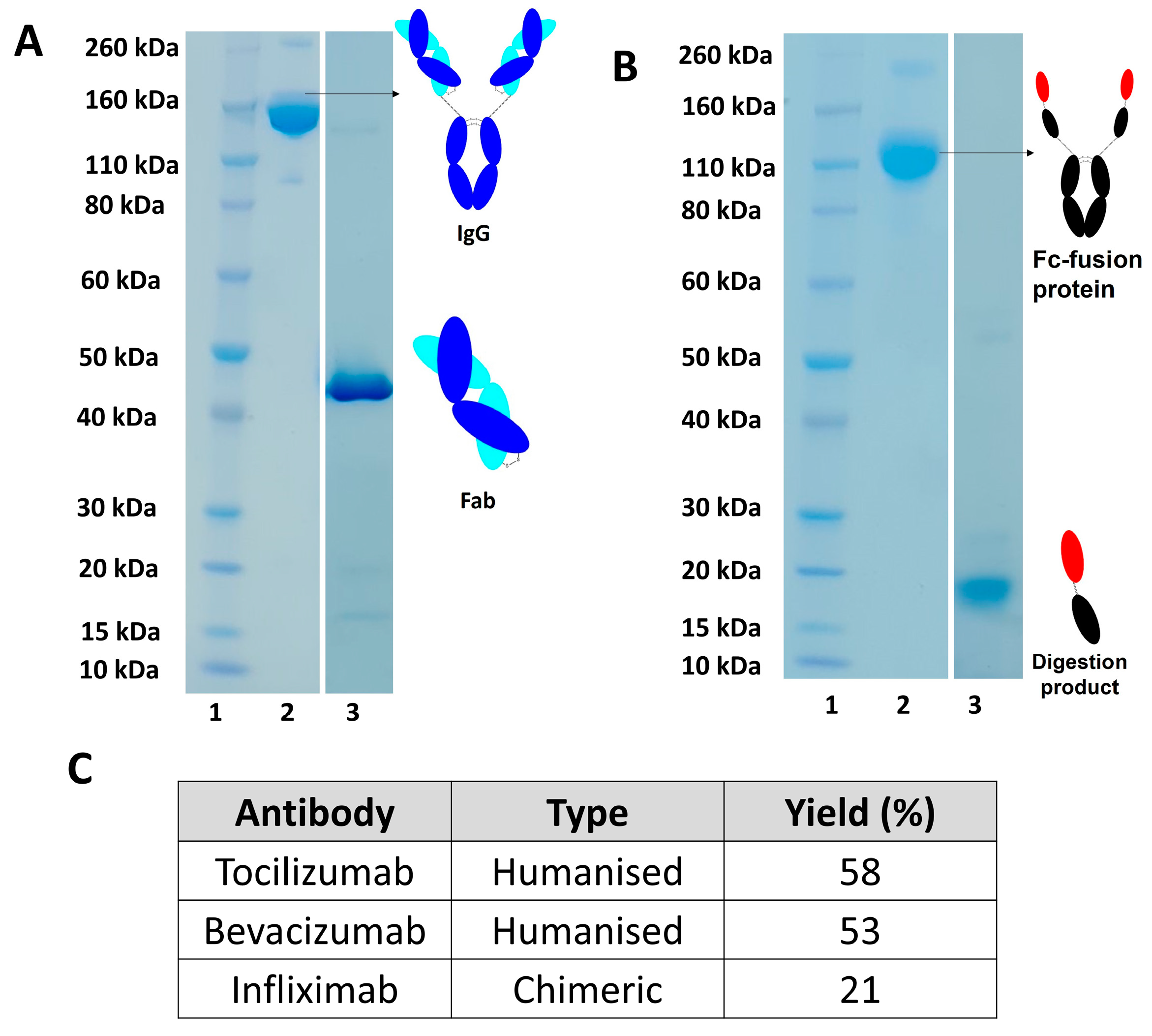 Bioengineering 09 00209 g006 550