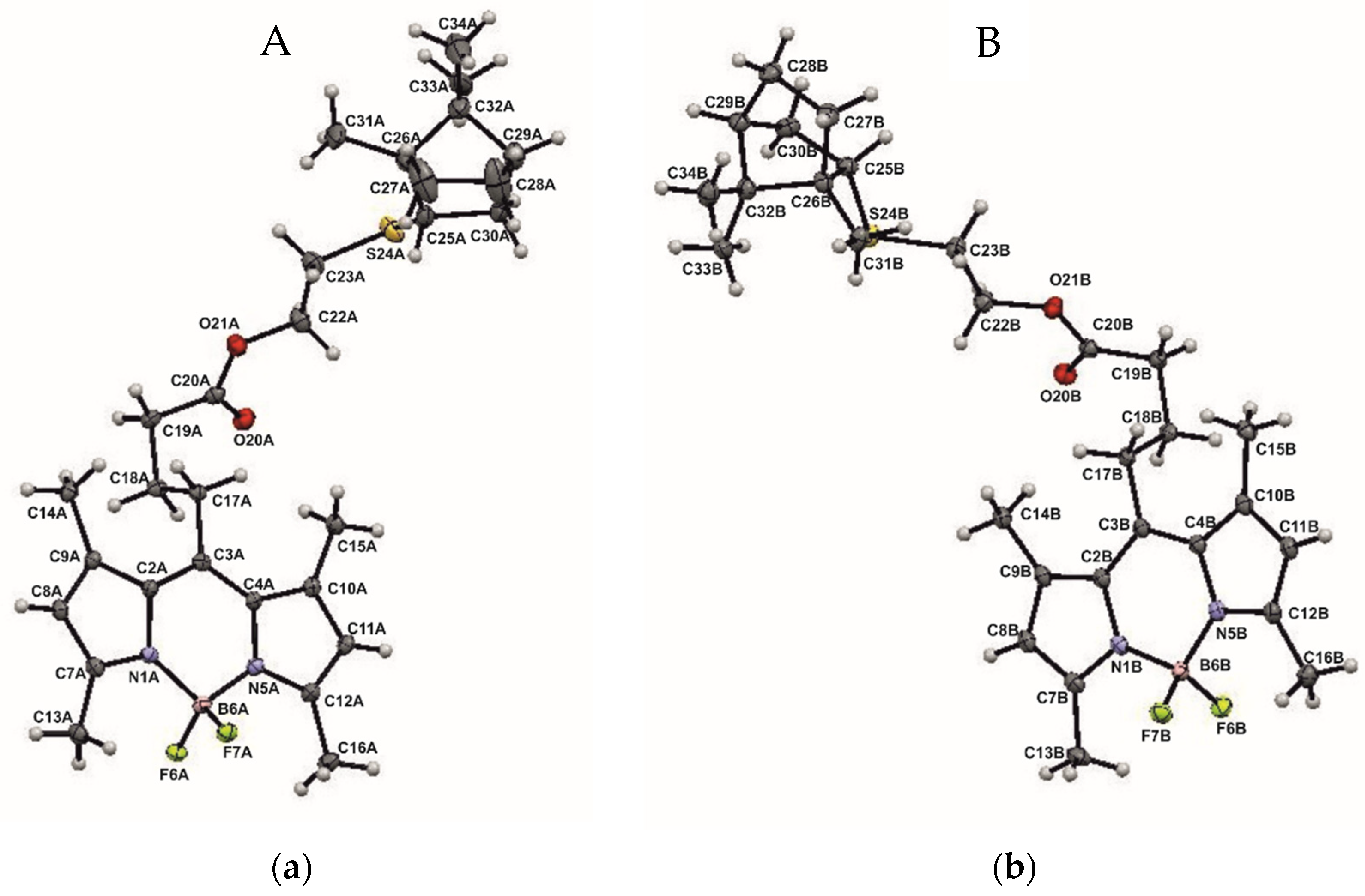 Bioengineering 09 00210 g004 550