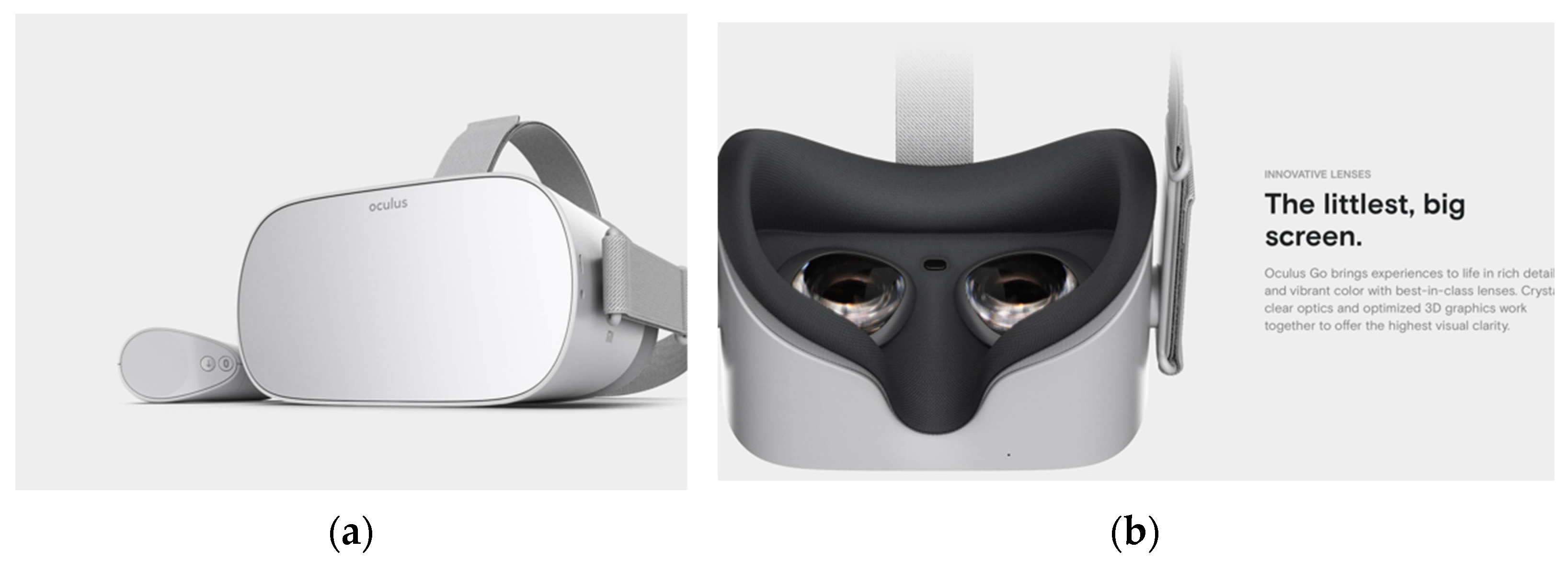 Bioengineering 09 00211 g001