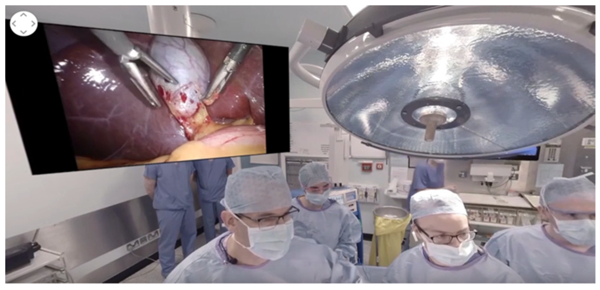 Bioengineering 09 00211 g002