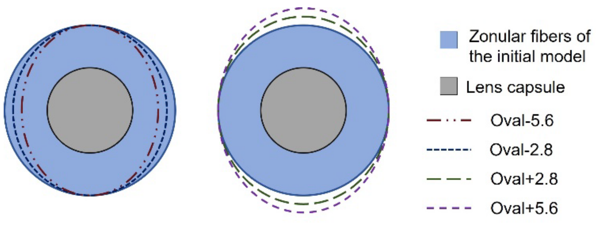 Bioengineering 09 00212 g002