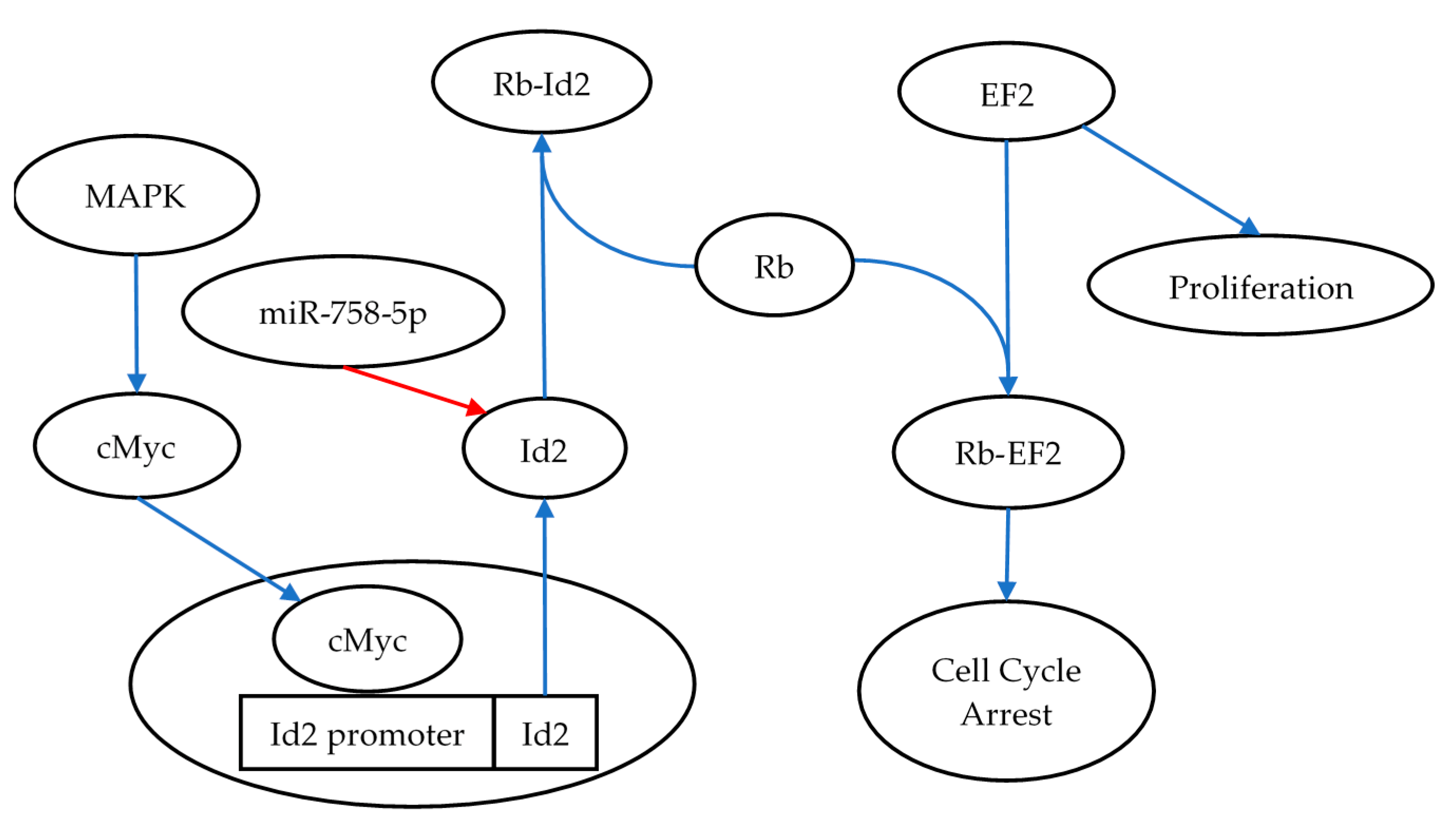 Bioengineering 09 00214 g004