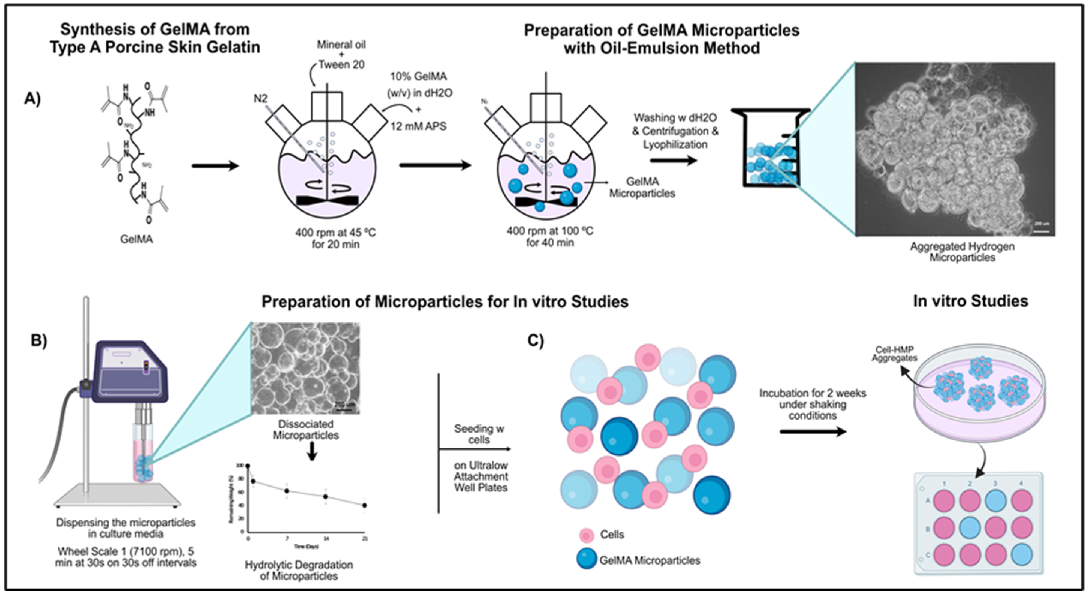 Bioengineering 09 00215 g001 550
