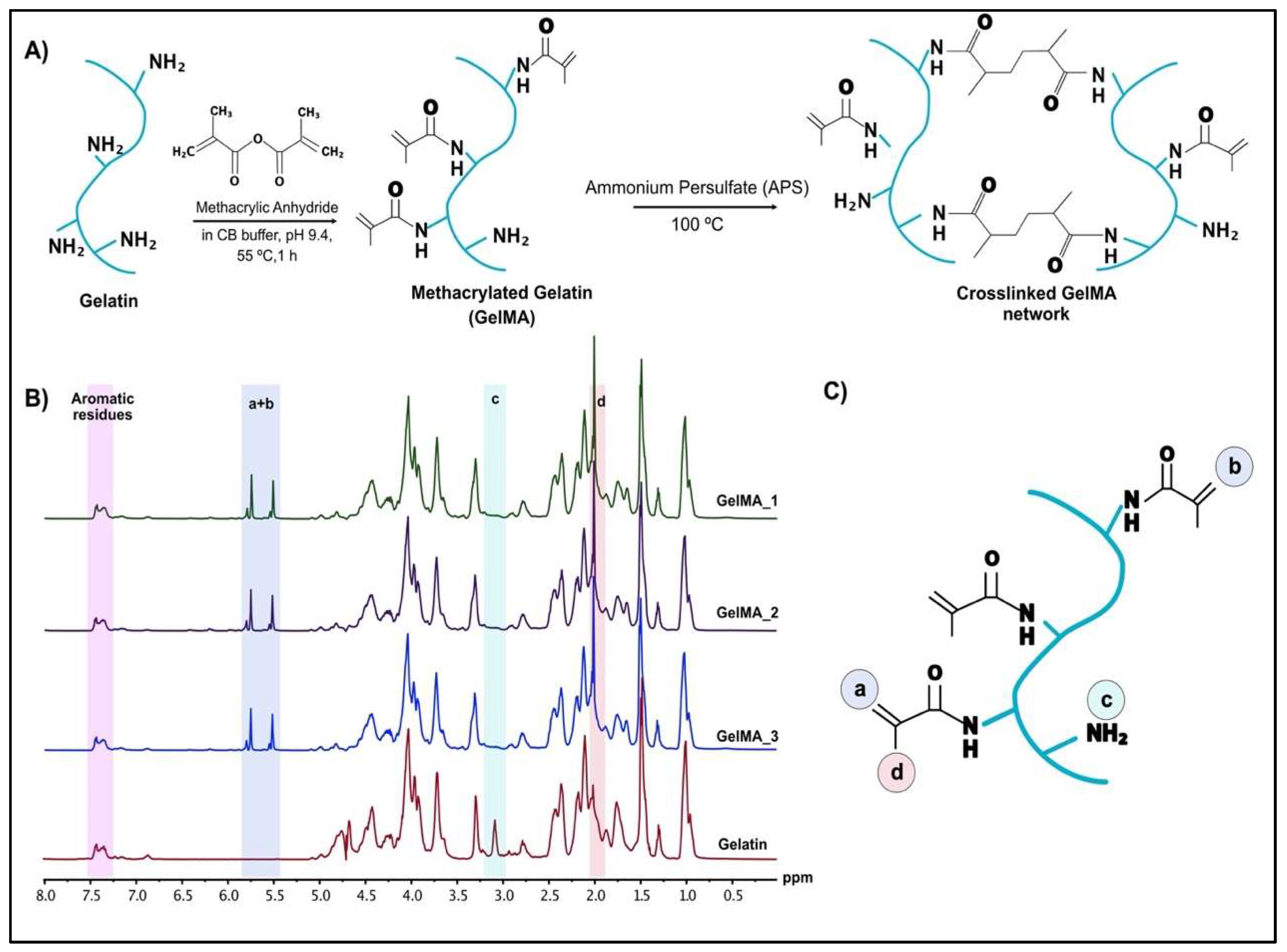 Bioengineering 09 00215 g002 550