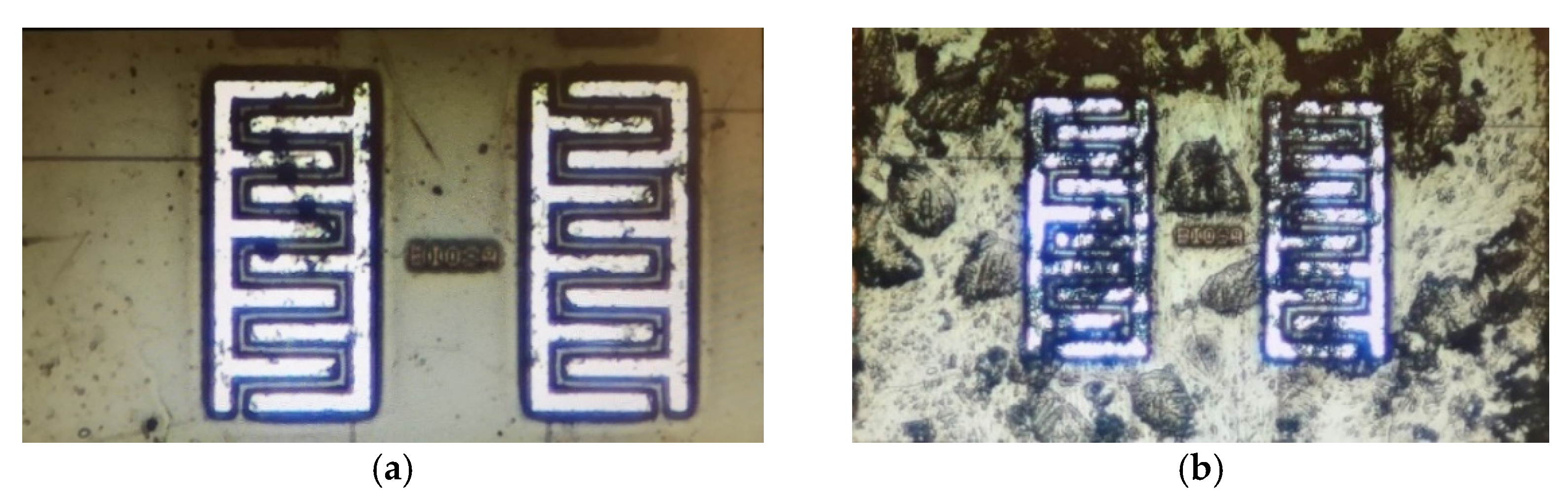 Bioengineering 09 00218 g019a