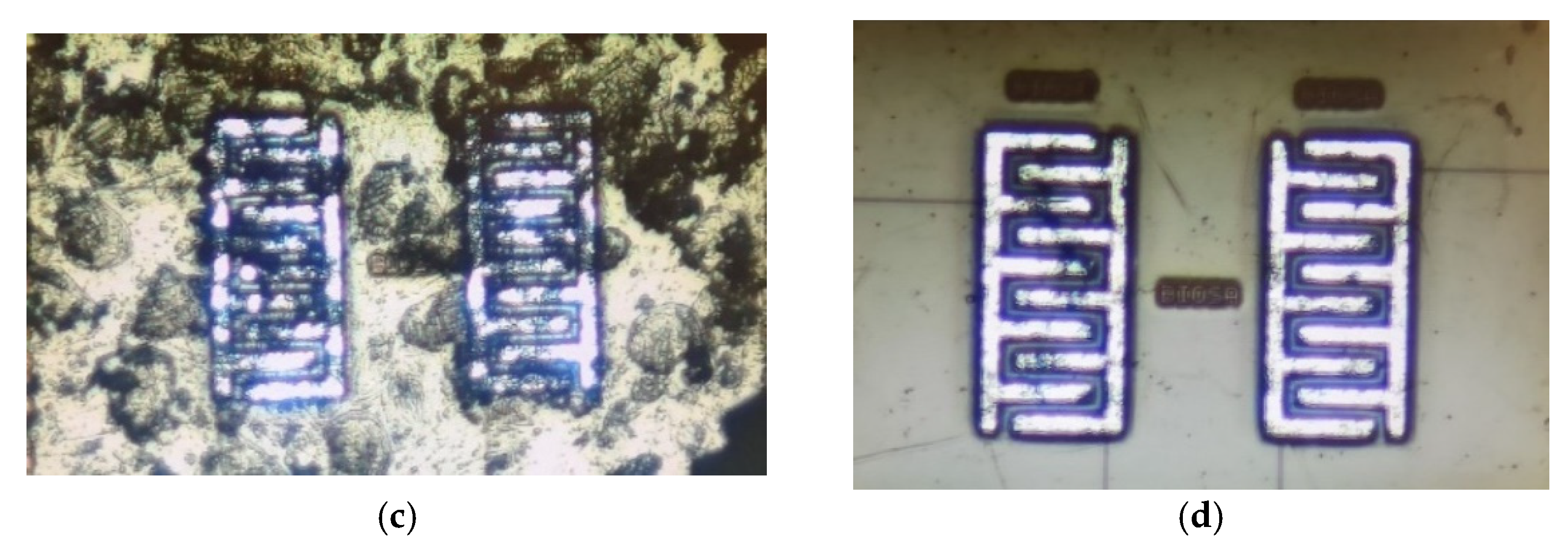Bioengineering 09 00218 g019b