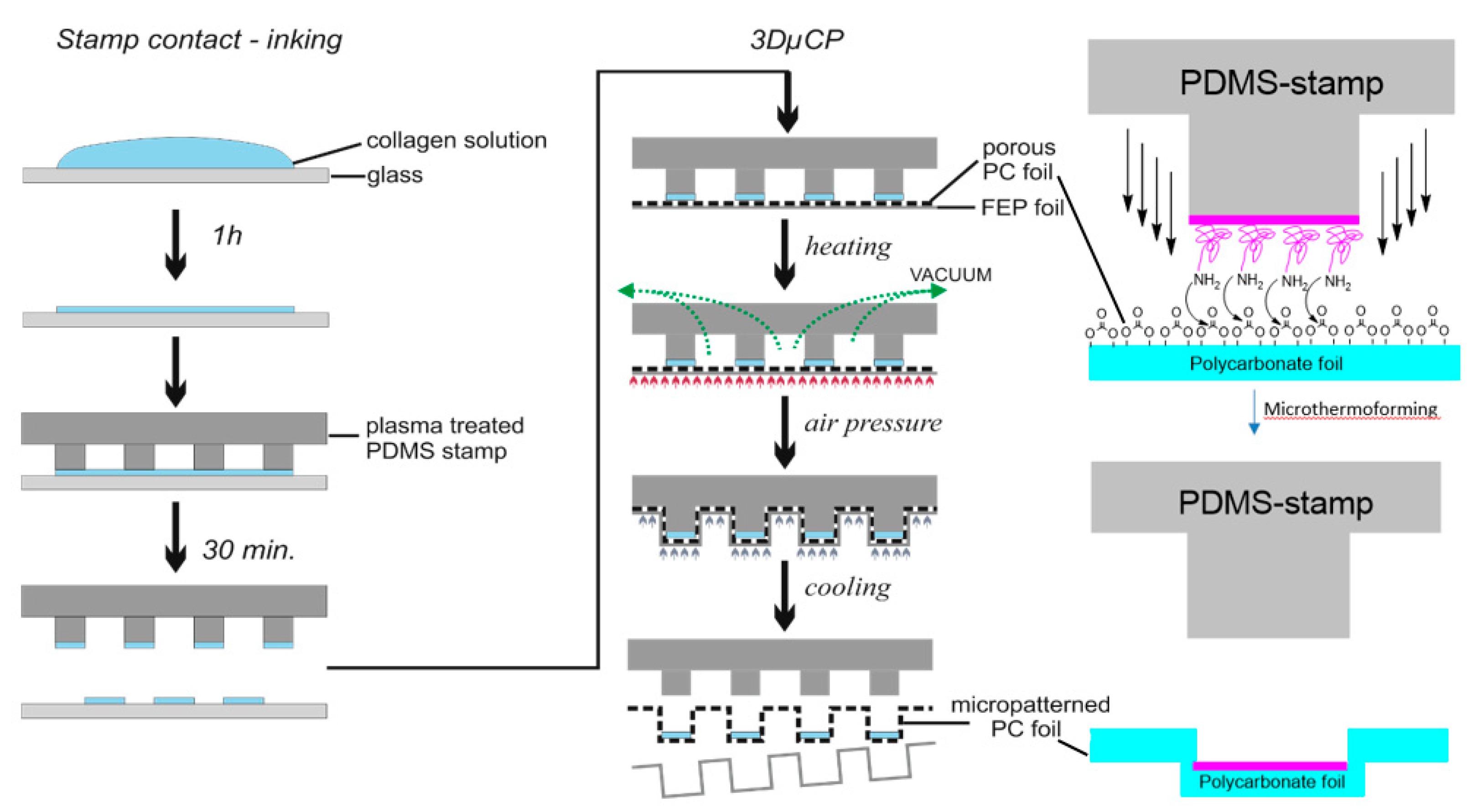 Bioengineering 09 00220 g004
