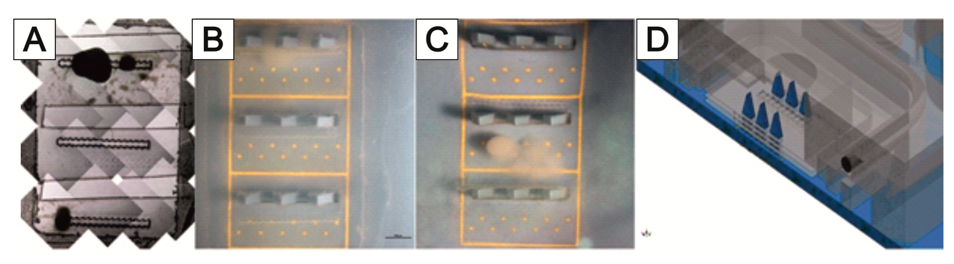 Bioengineering 09 00220 g018