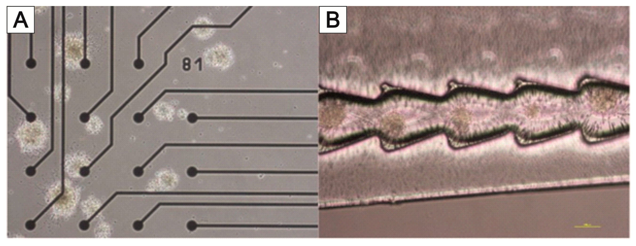 Bioengineering 09 00220 g020