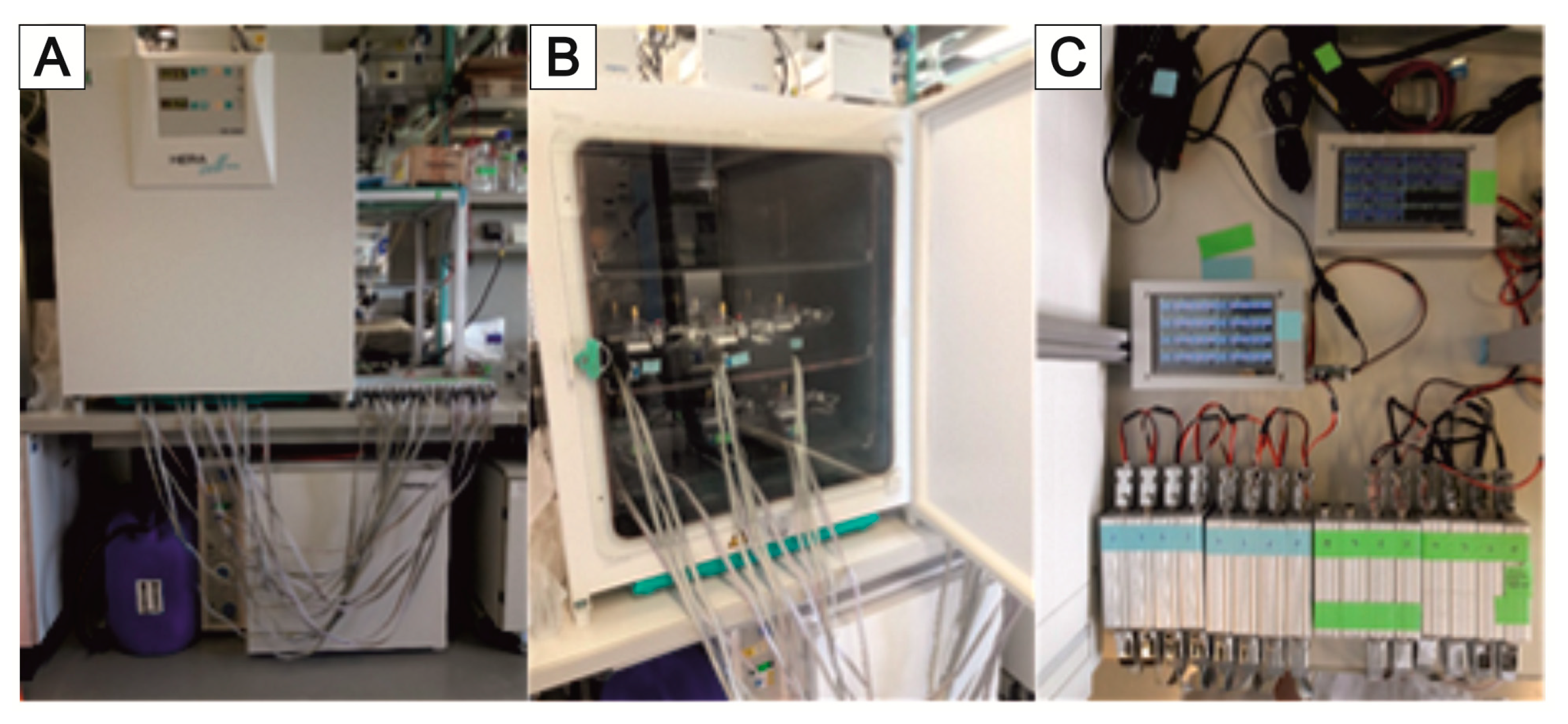 Bioengineering 09 00220 g024