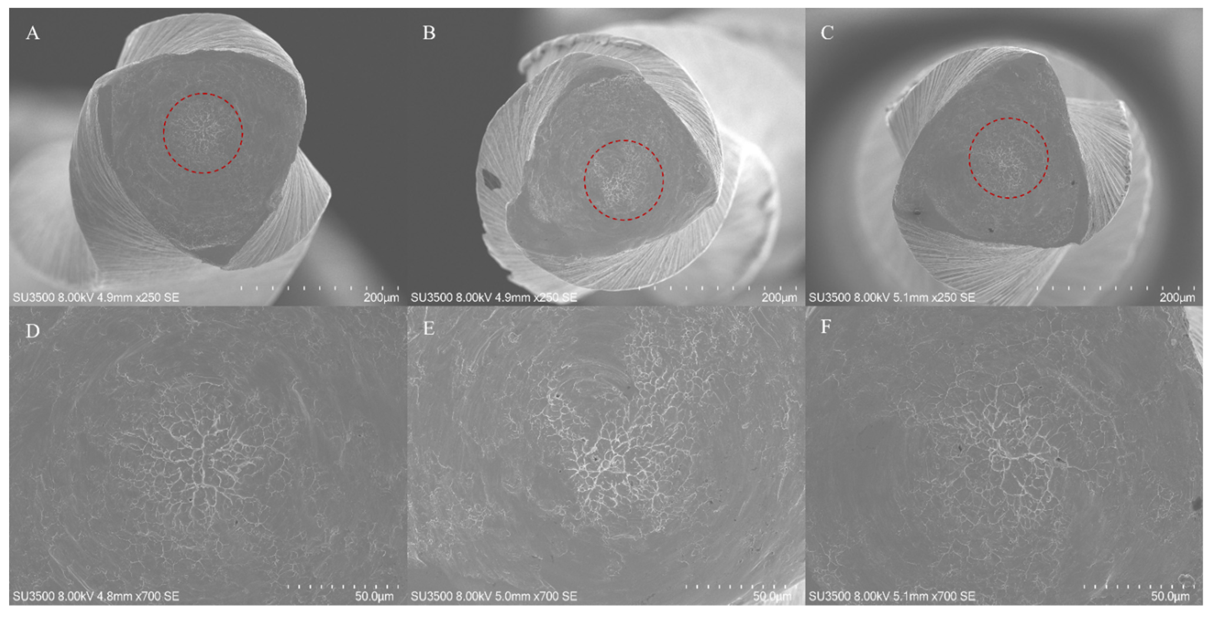 Bioengineering 09 00221 g002 550