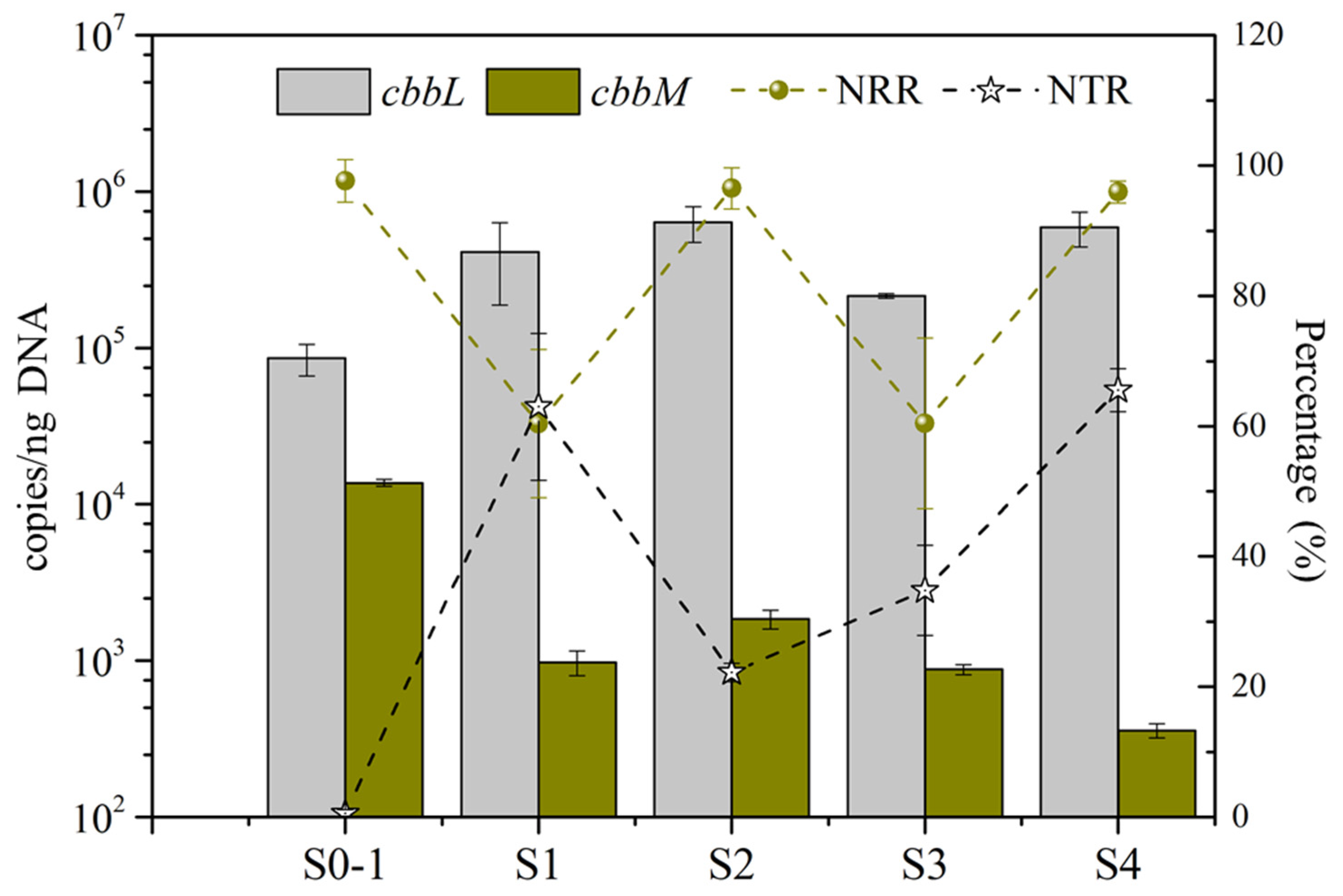 Bioengineering 09 00222 g005 550