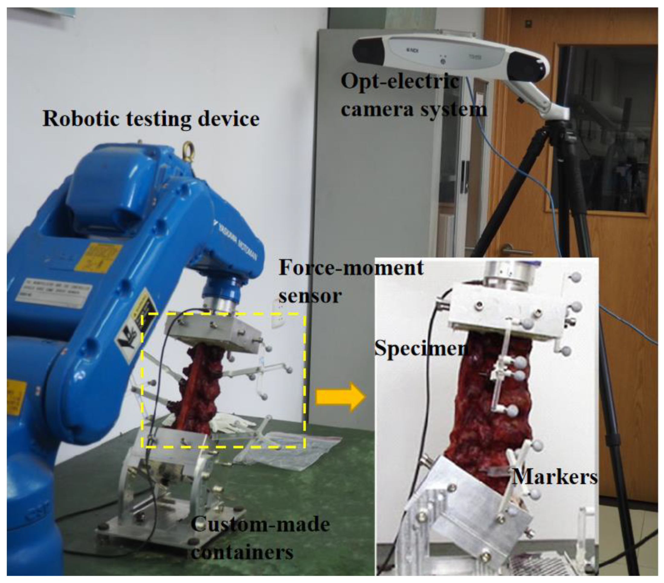Bioengineering 09 00224 g002 550