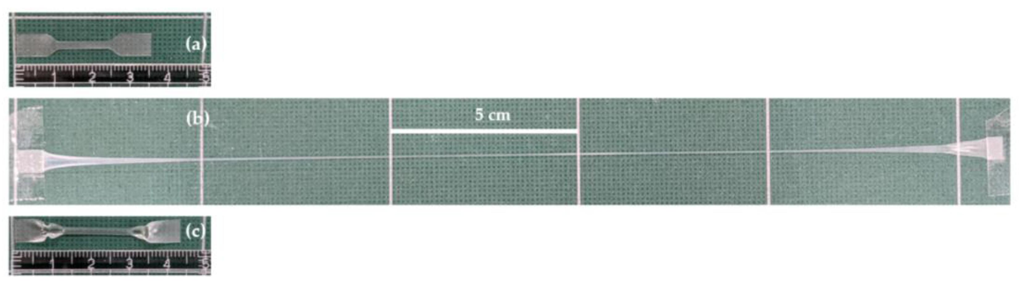 Bioengineering 09 00228 g009 Bioengineering 09 00228 g009