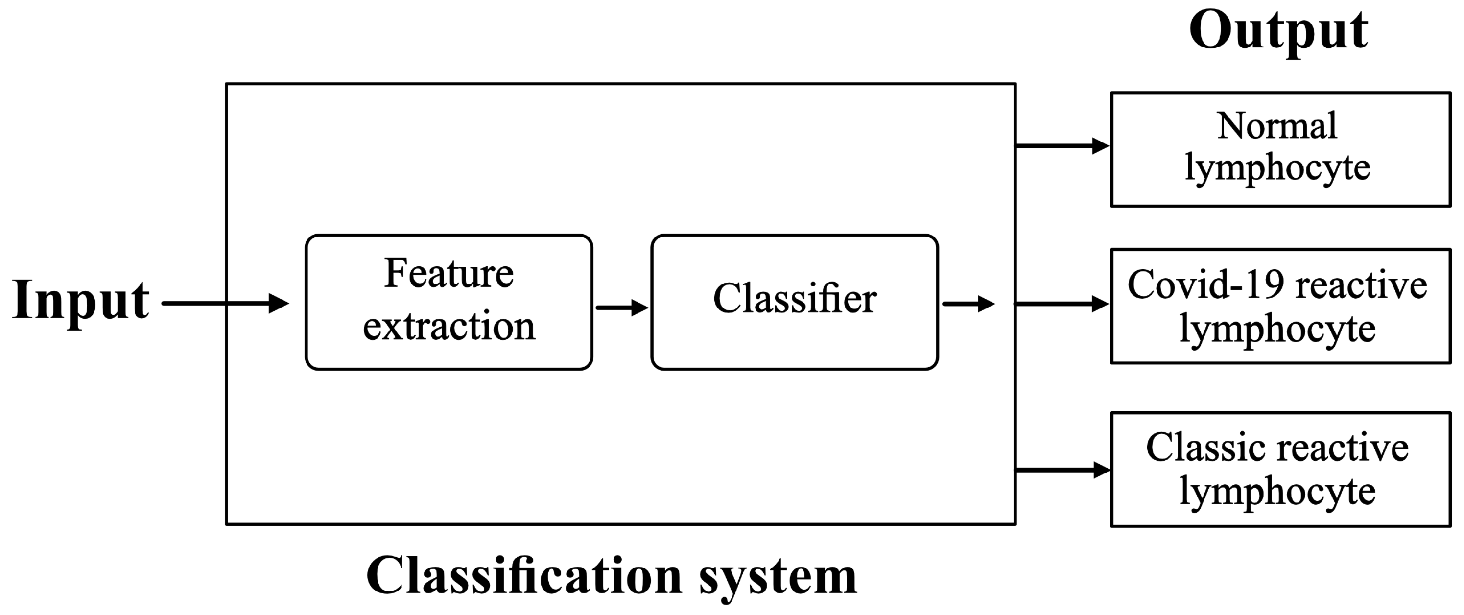 Bioengineering 09 00229 g001 550
