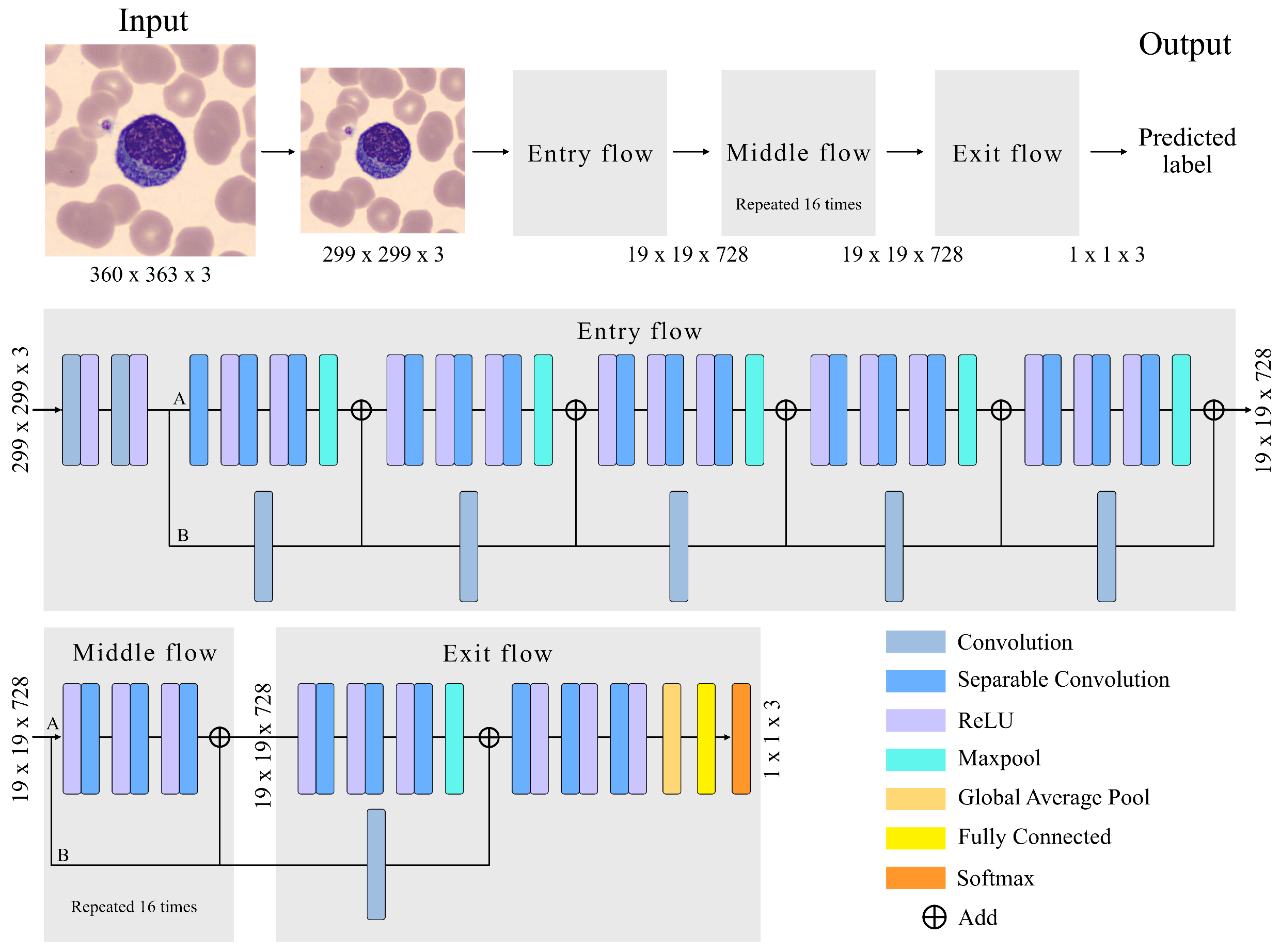 Bioengineering 09 00229 g003 550