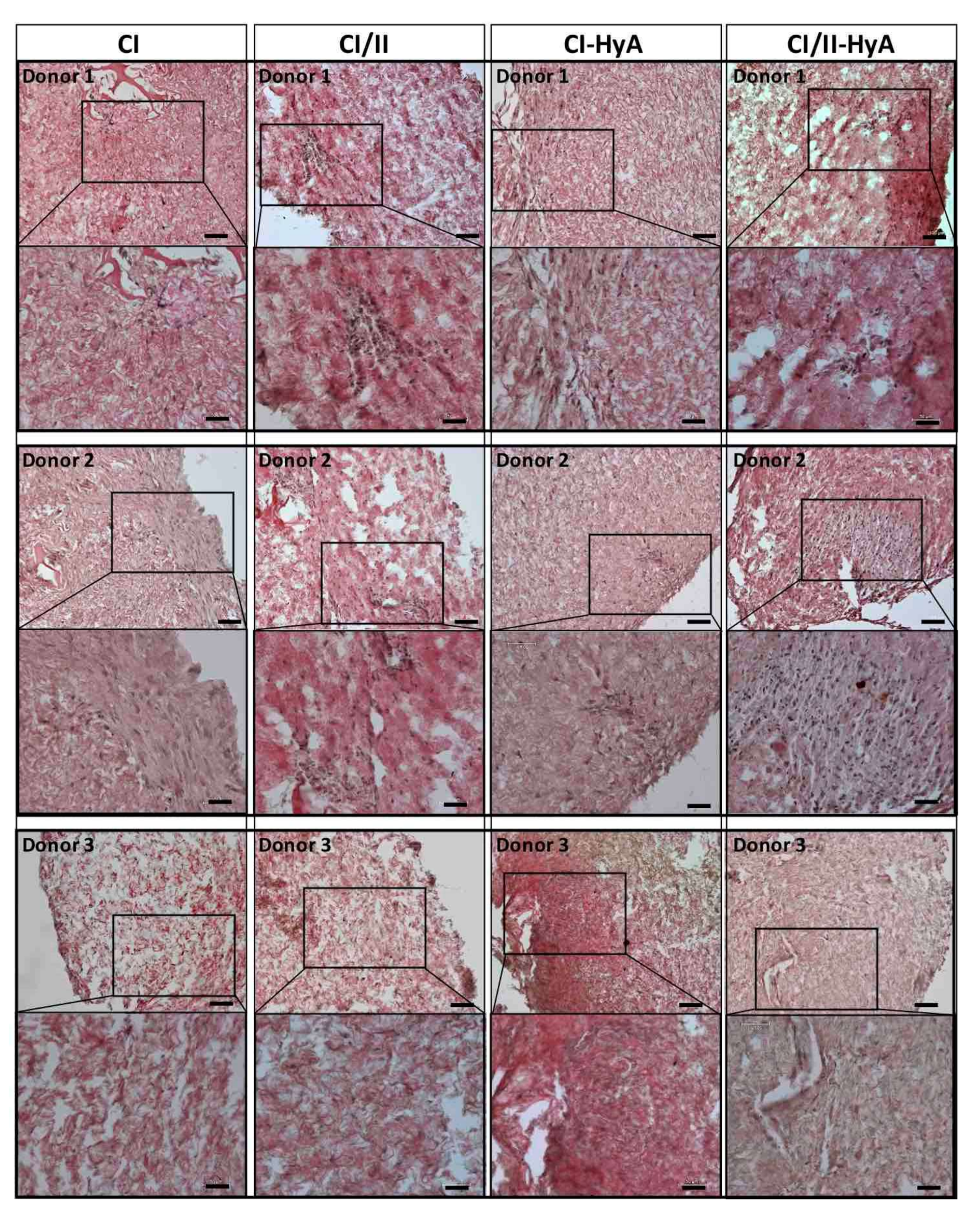 Bioengineering 09 00232 g004