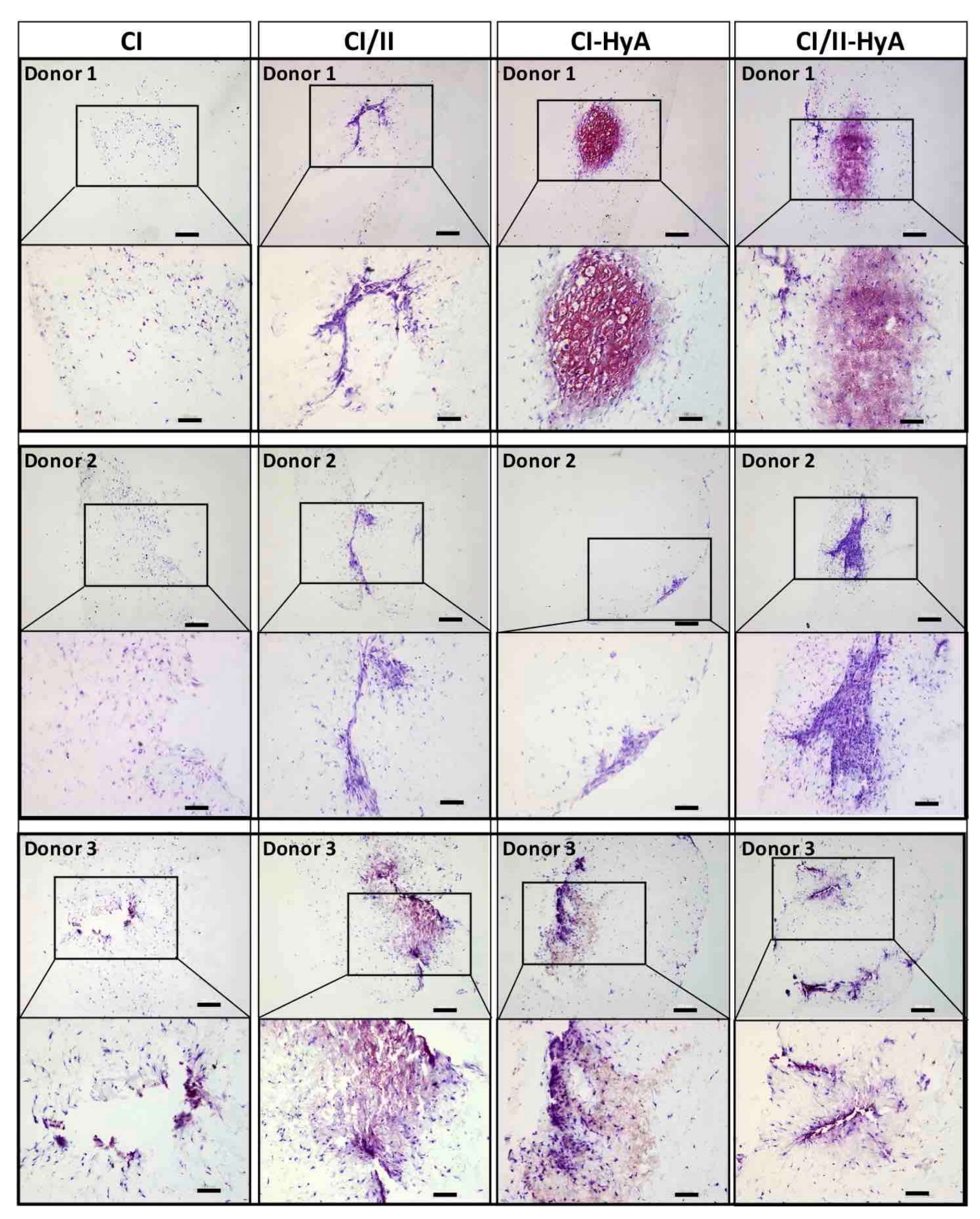 Bioengineering 09 00232 g005