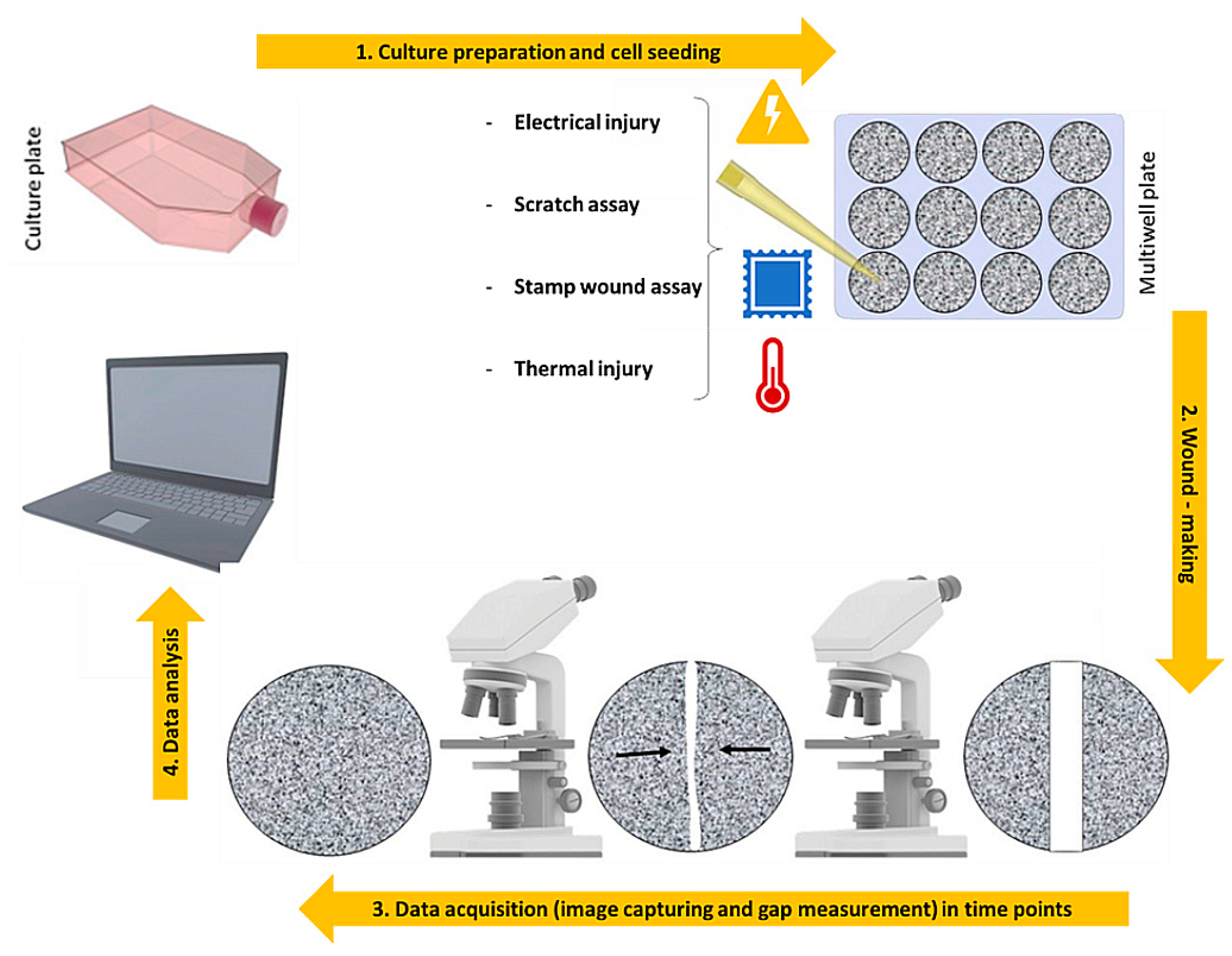 Bioengineering 09 00233 g002 Bioengineering 09 00233 g002