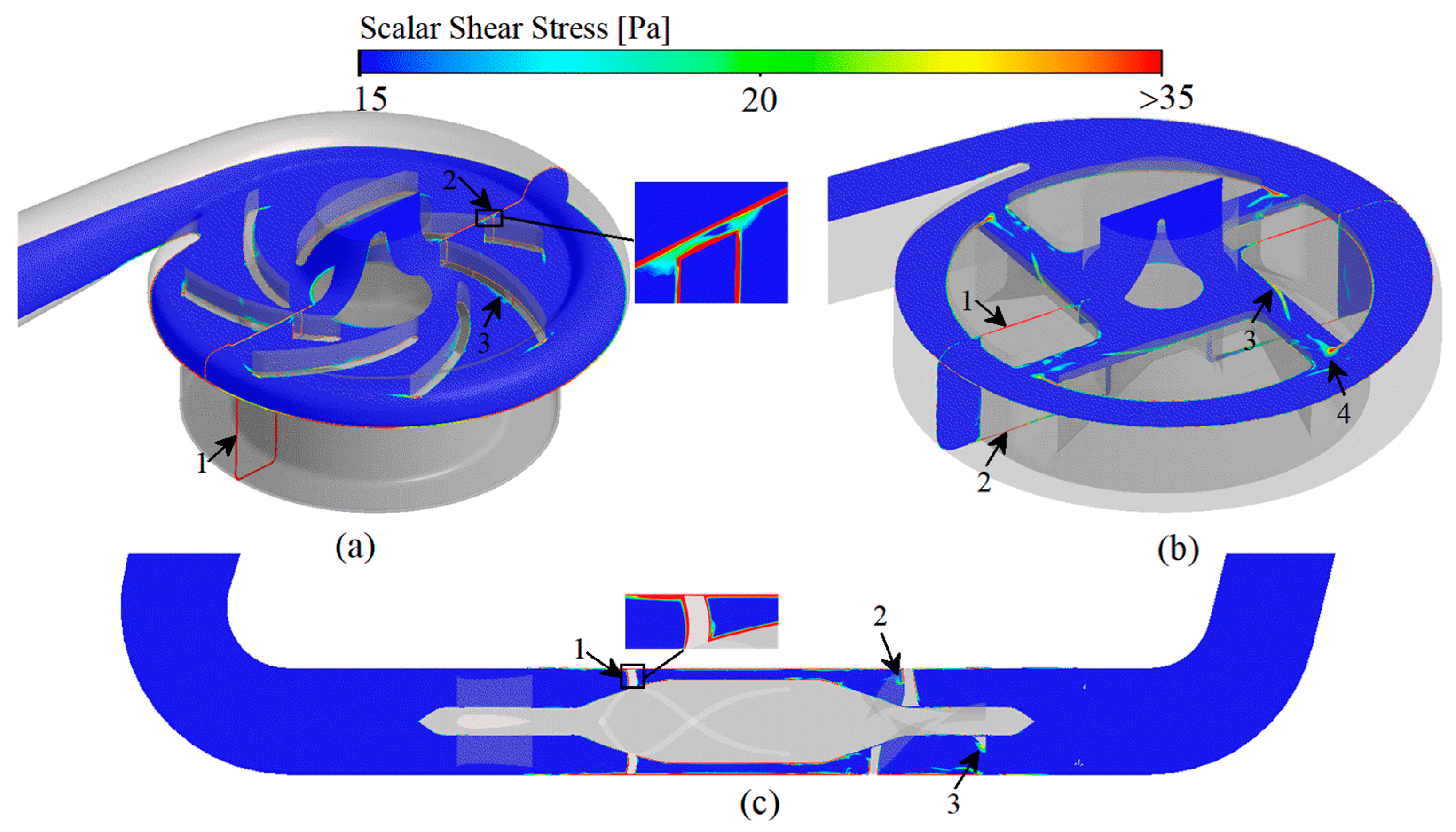 Bioengineering 09 00235 g007