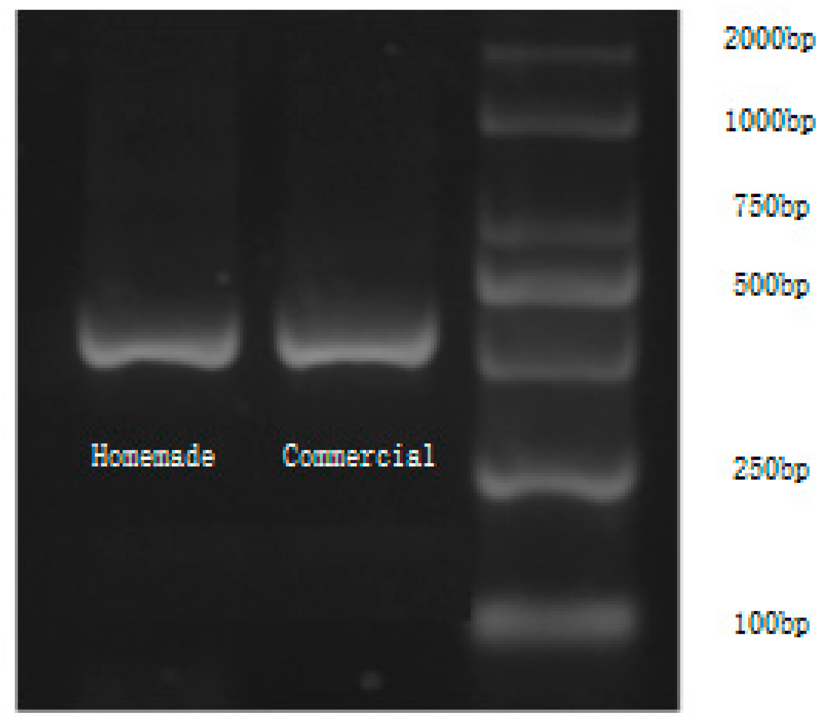 Bioengineering 09 00237 g006 550