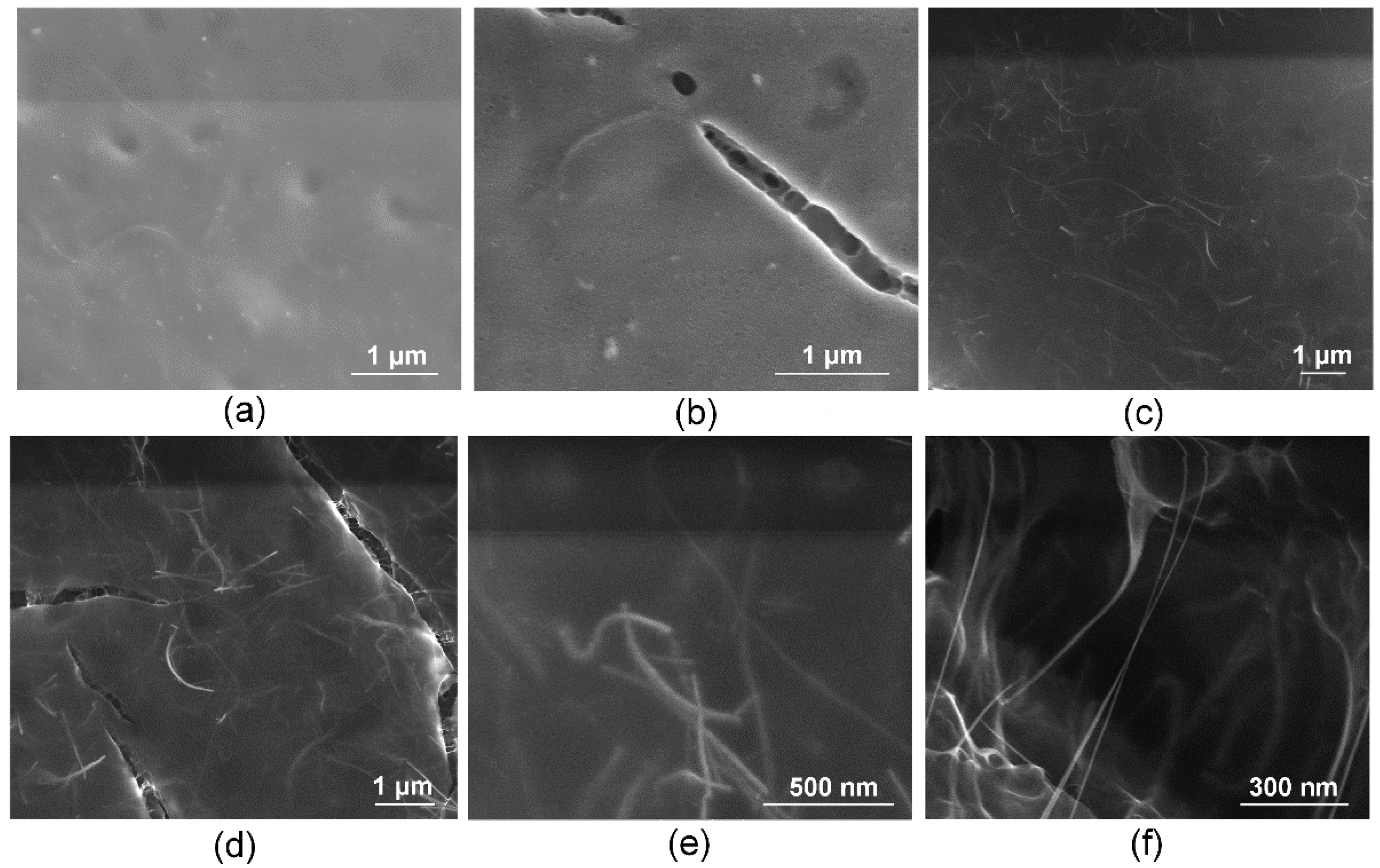 Bioengineering 09 00238 g003 Bioengineering 09 00238 g003