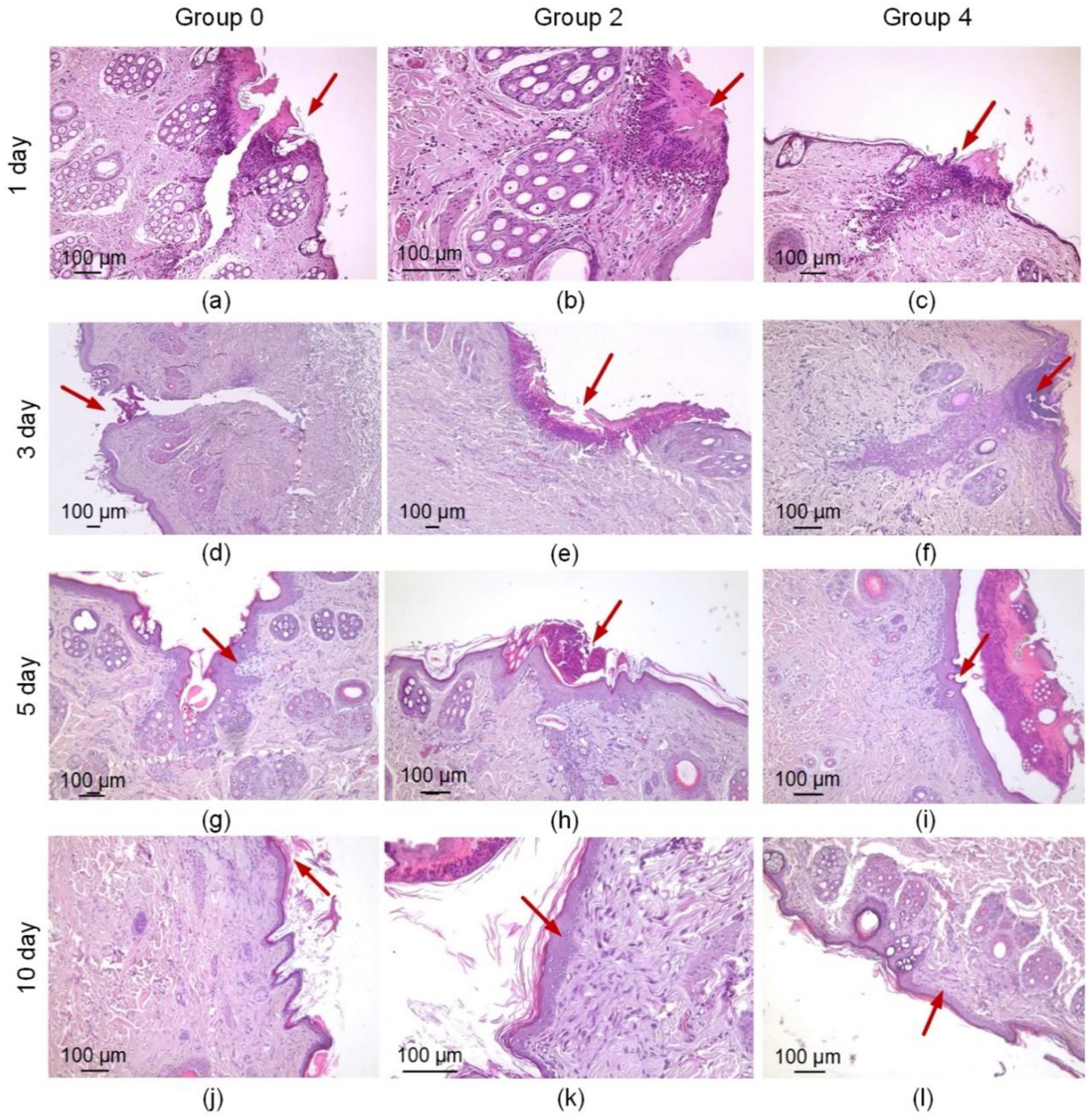 Bioengineering 09 00238 g006 Bioengineering 09 00238 g006