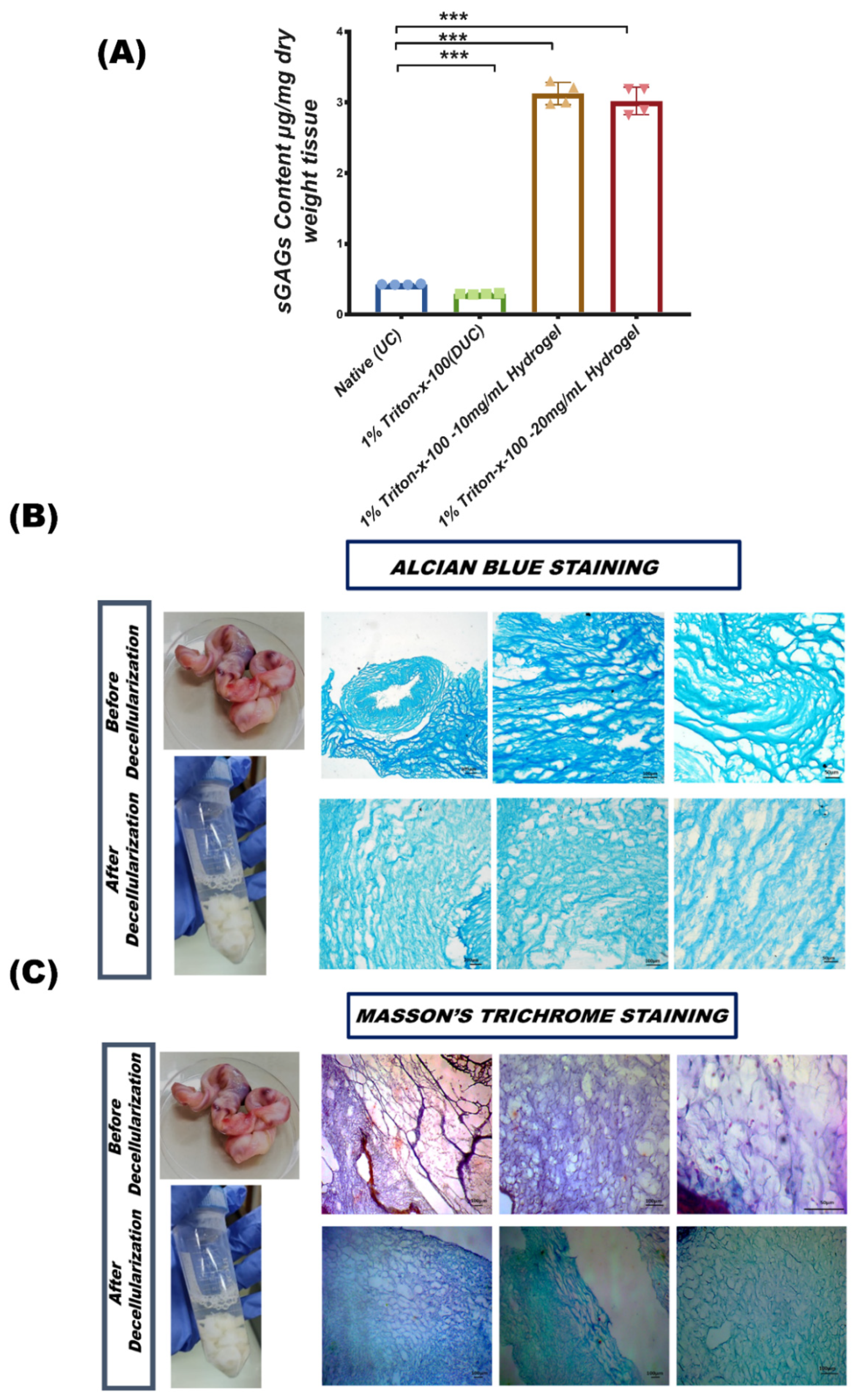 Bioengineering 09 00239 g003 550