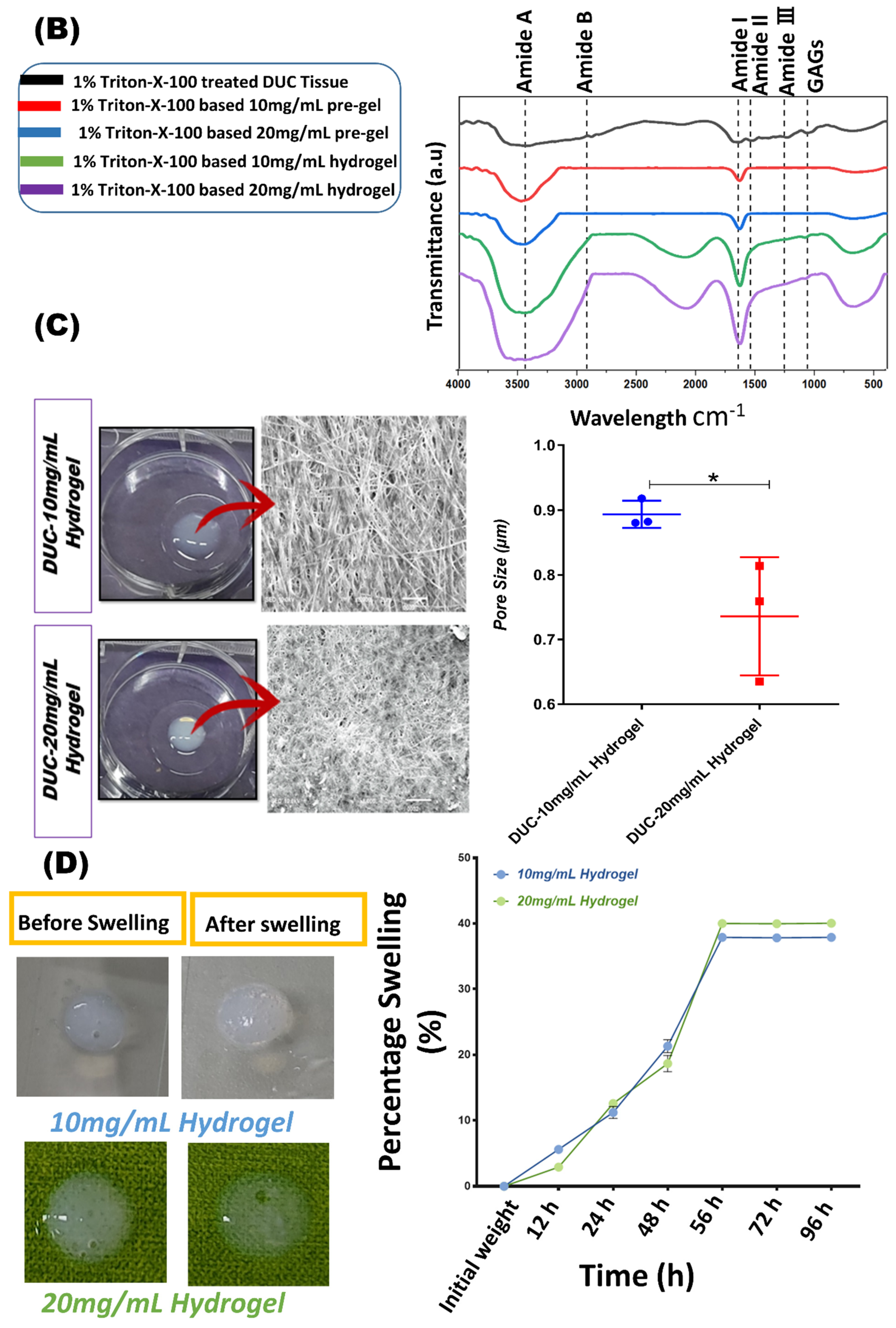 Bioengineering 09 00239 g004b 550
