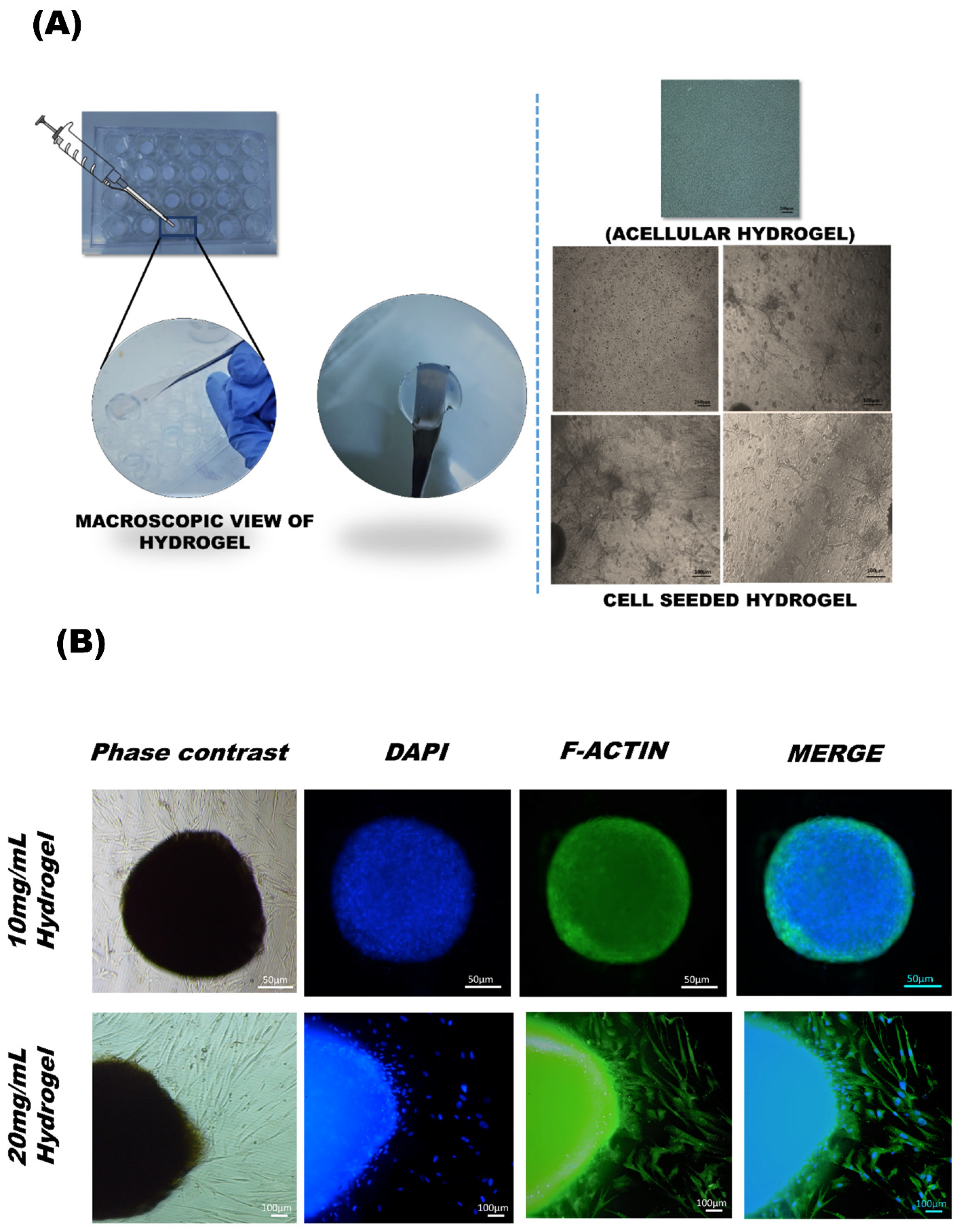Bioengineering 09 00239 g005 550