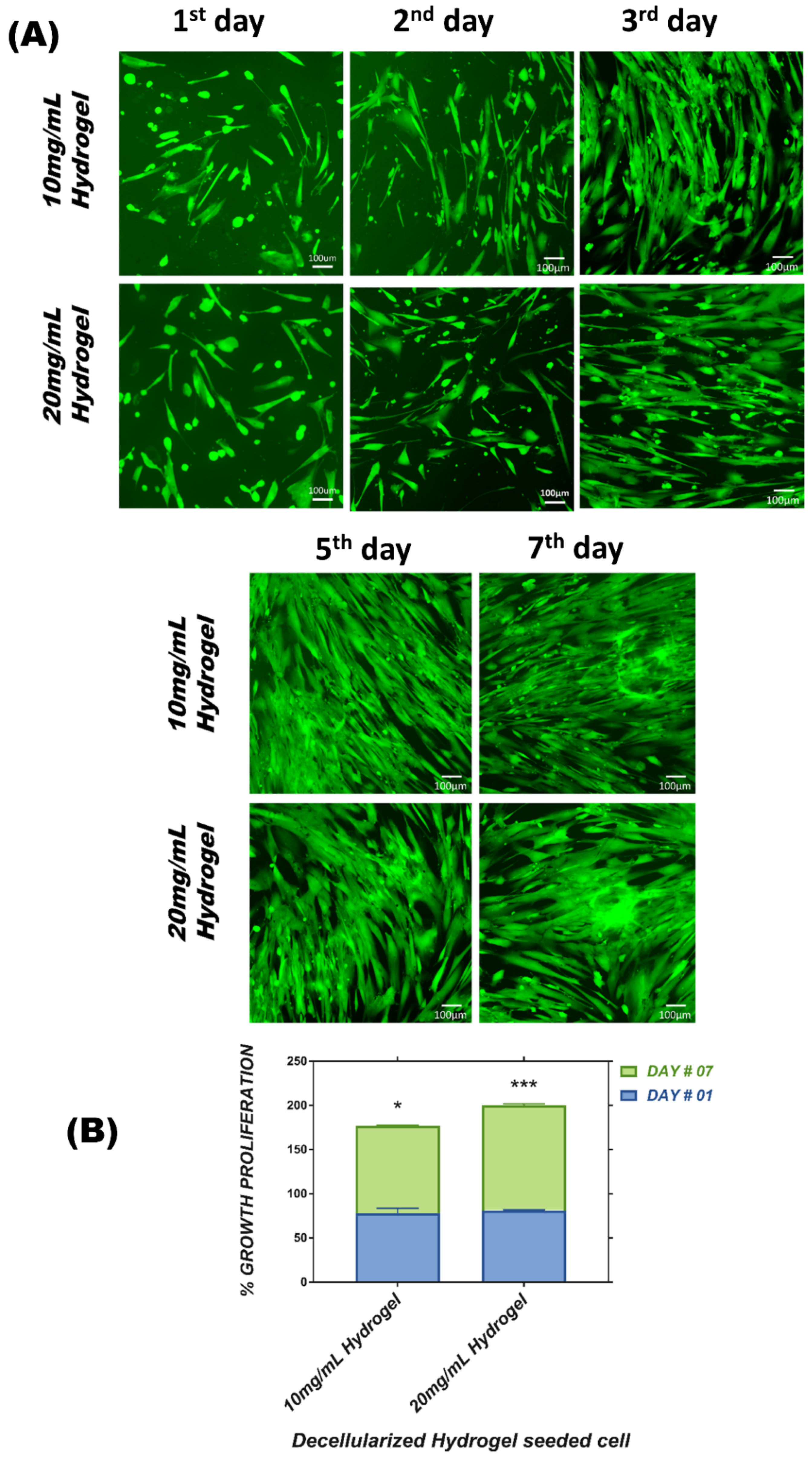 Bioengineering 09 00239 g006 550