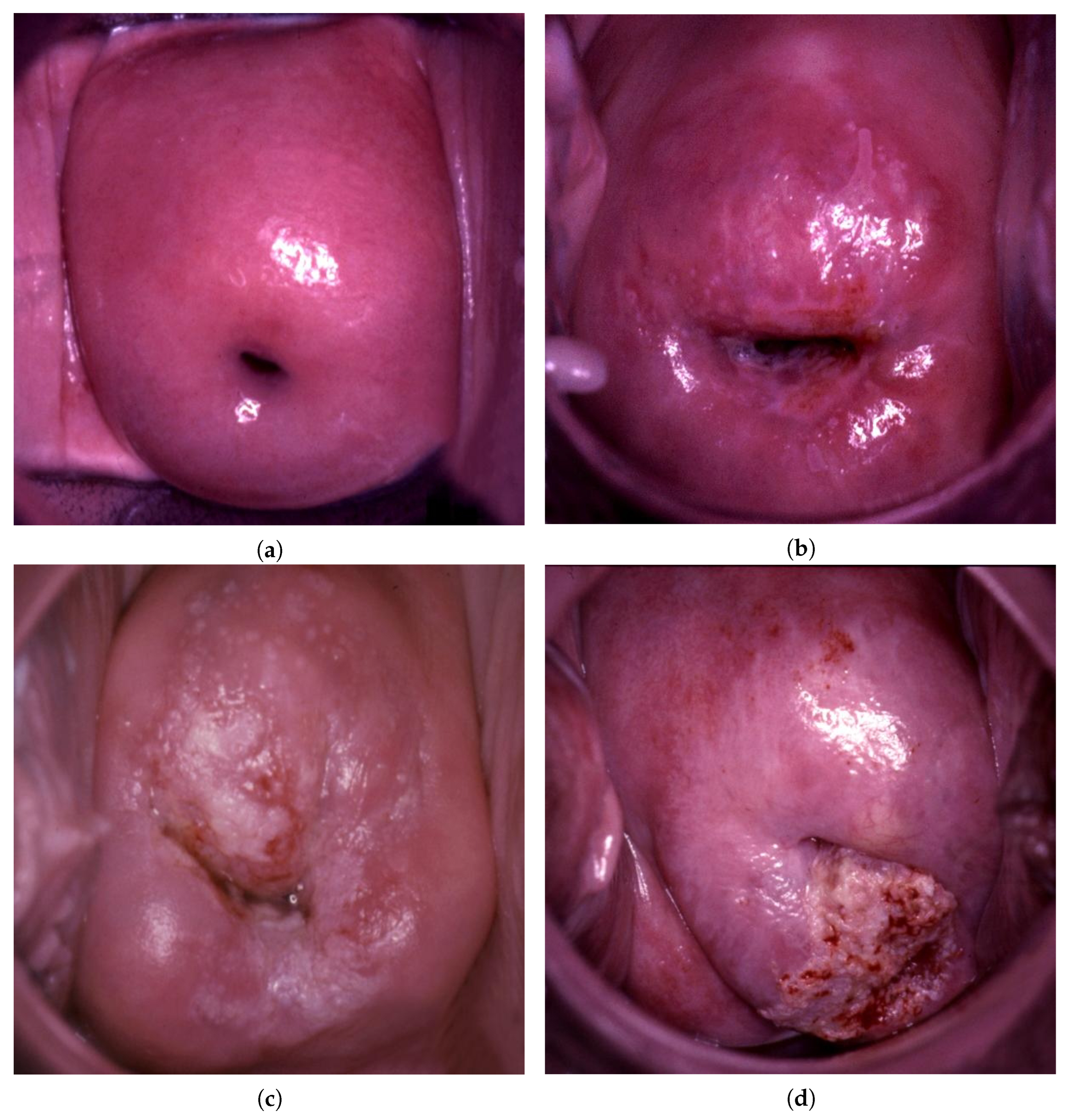 Bioengineering 09 00240 g001 550