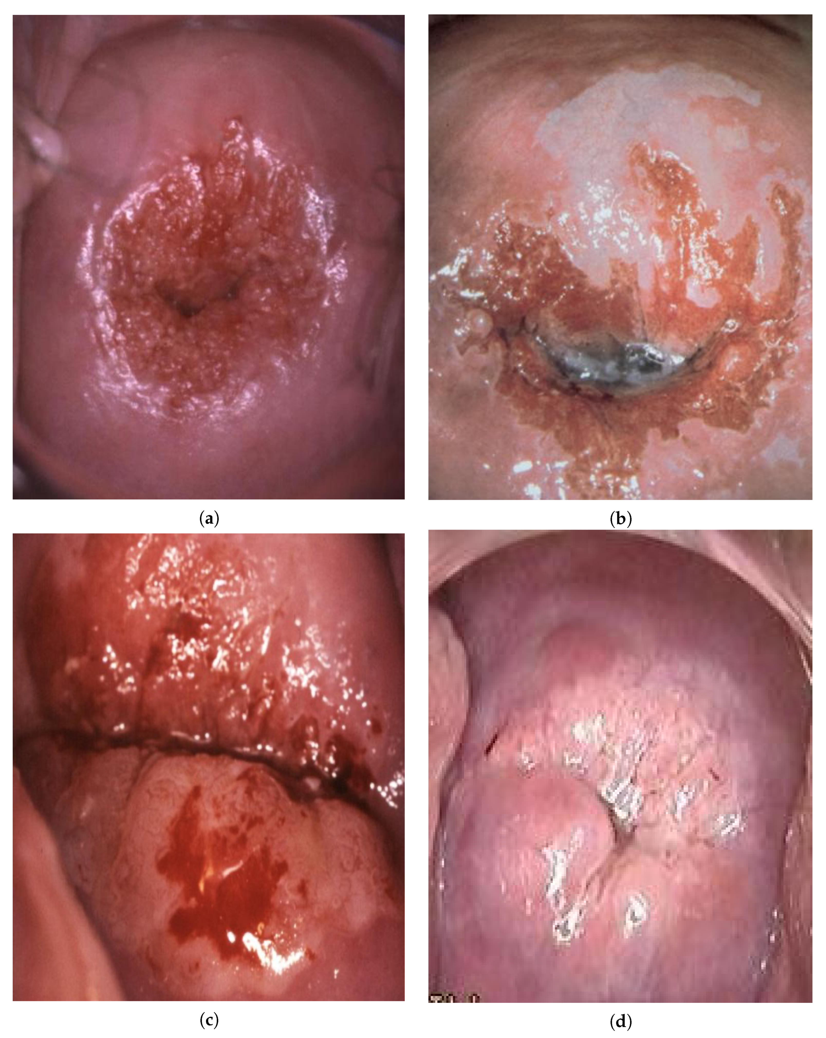 Bioengineering 09 00240 g006 550