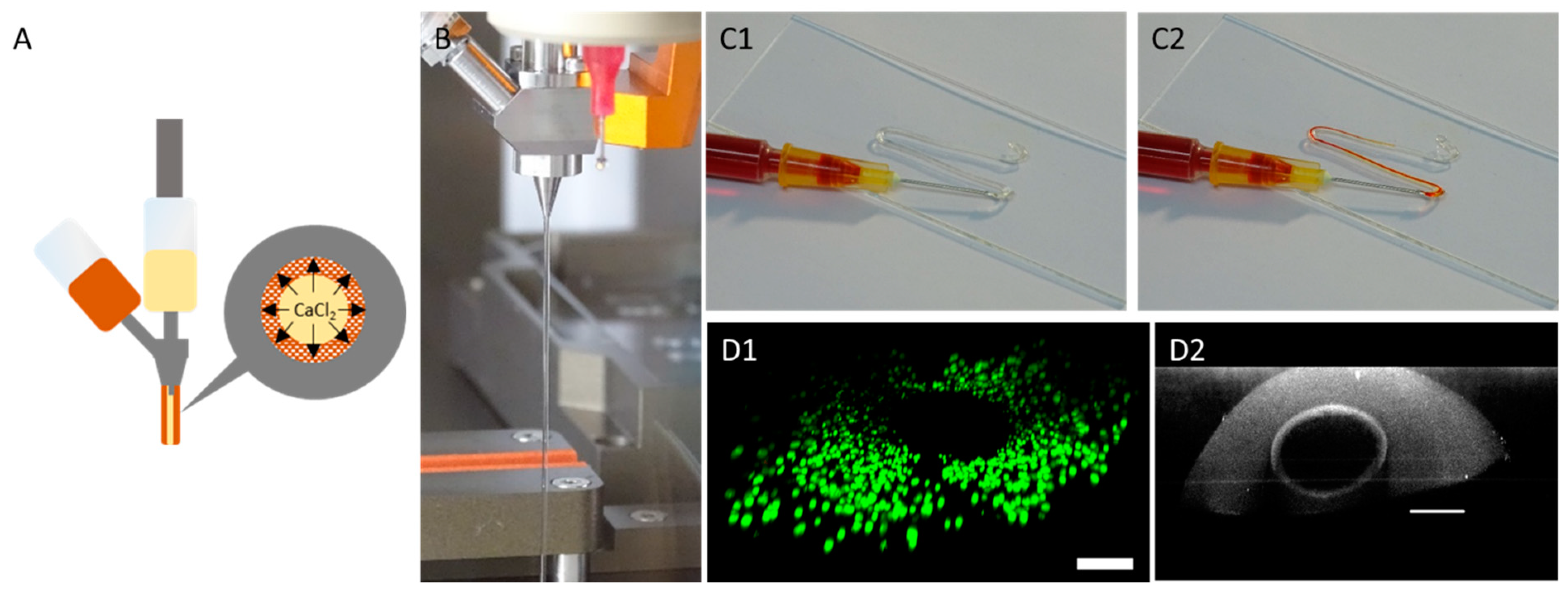 Bioengineering 09 00242 g007