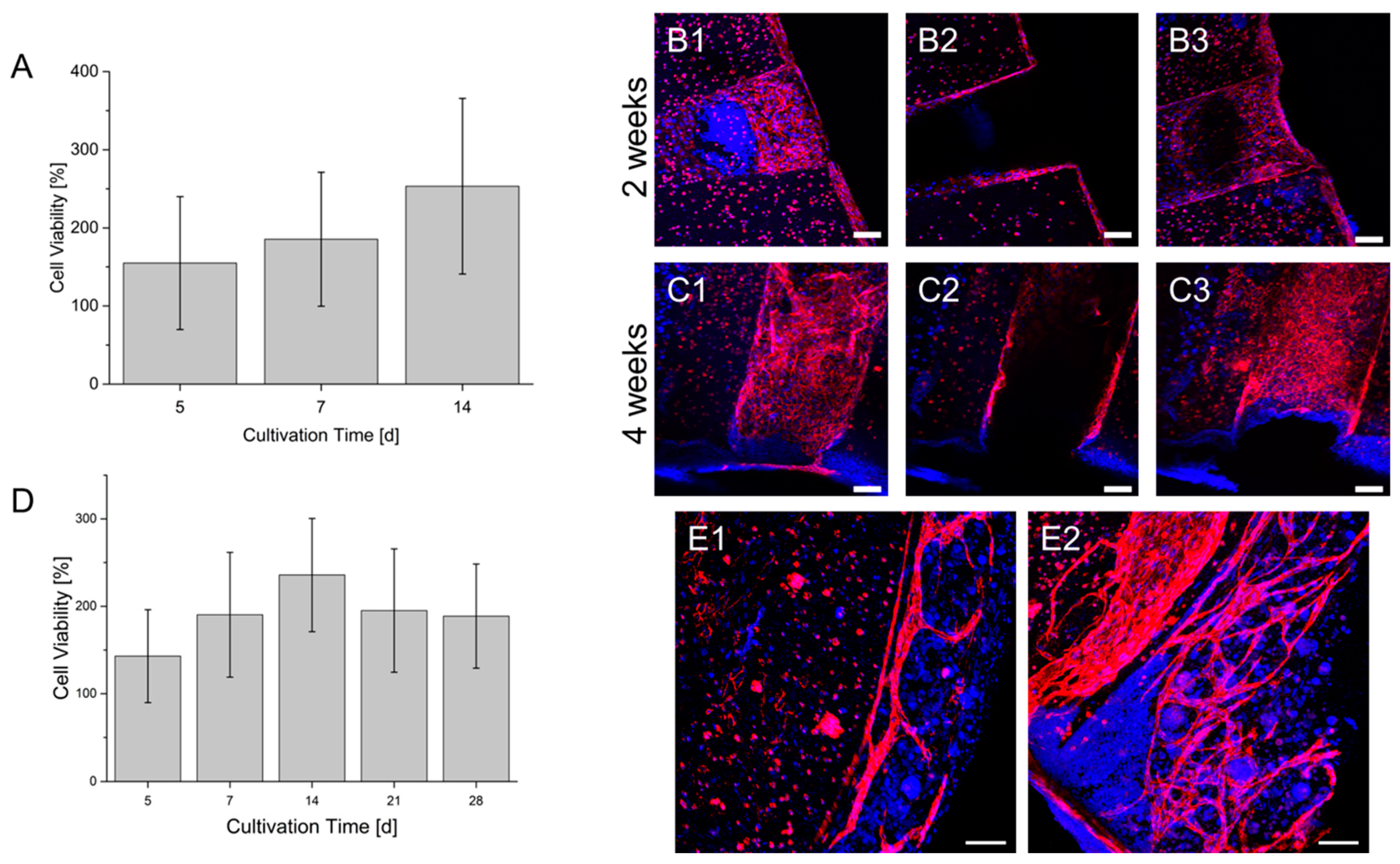 Bioengineering 09 00242 g009