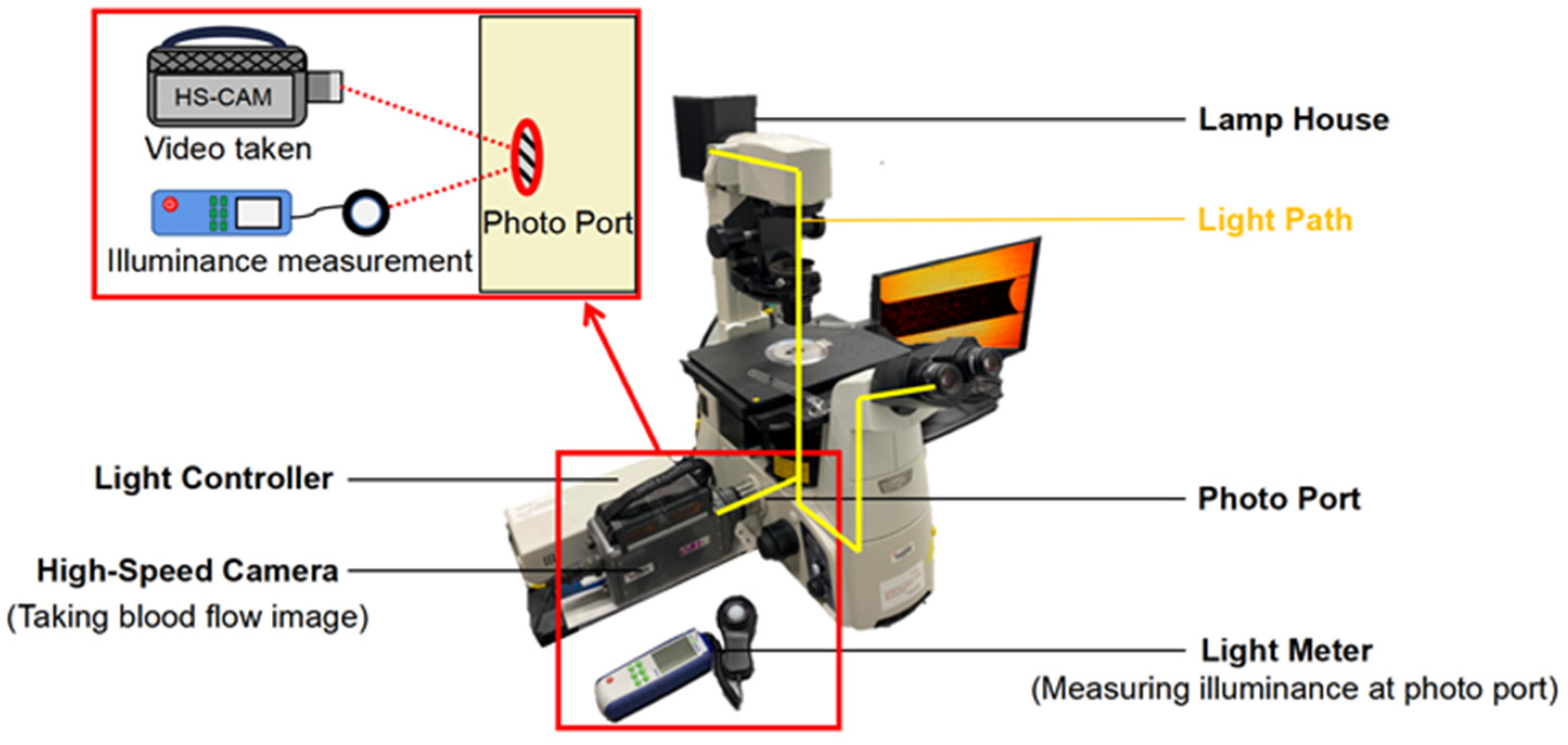 Bioengineering 09 00247 g001 550