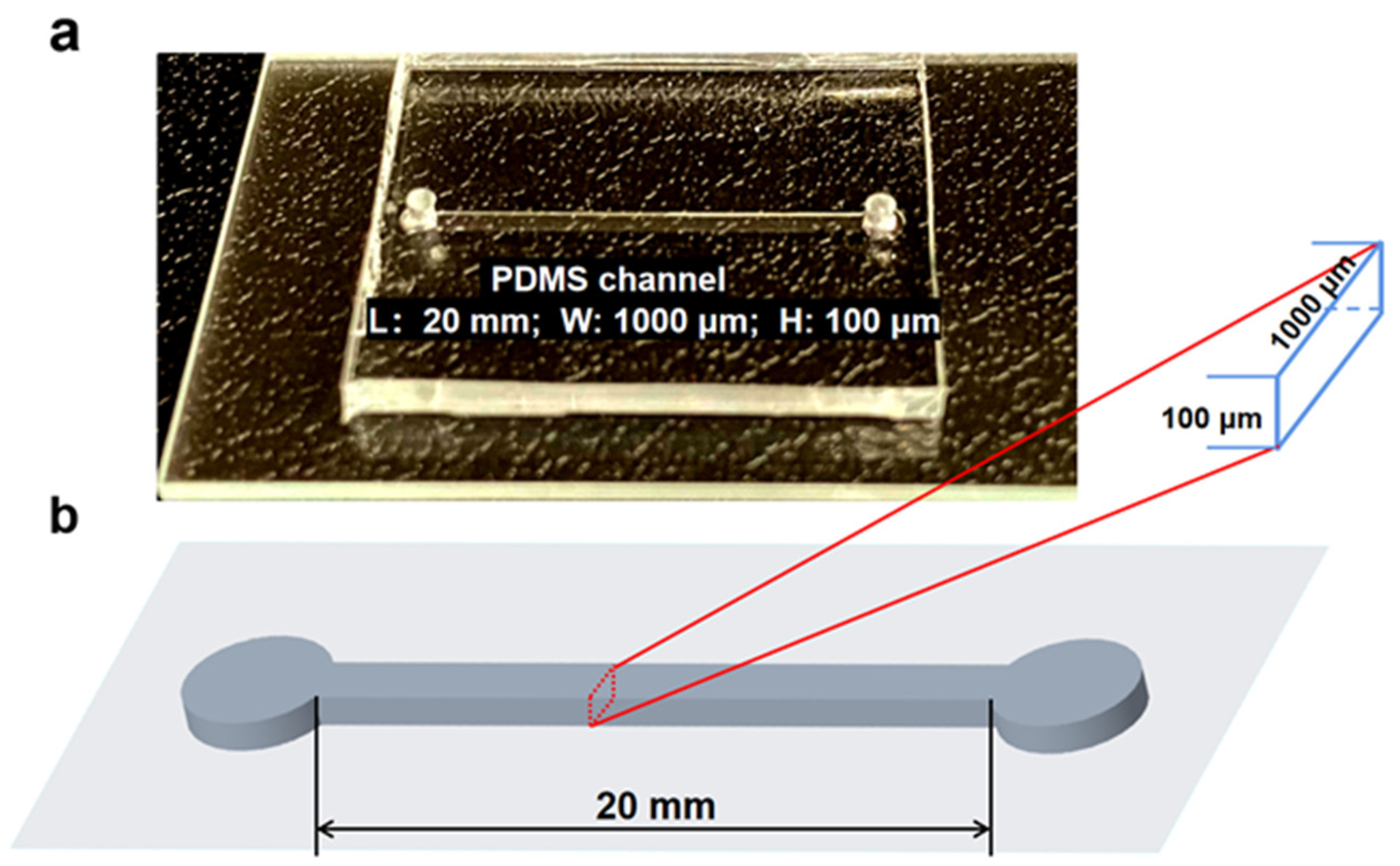 Bioengineering 09 00247 g002 550
