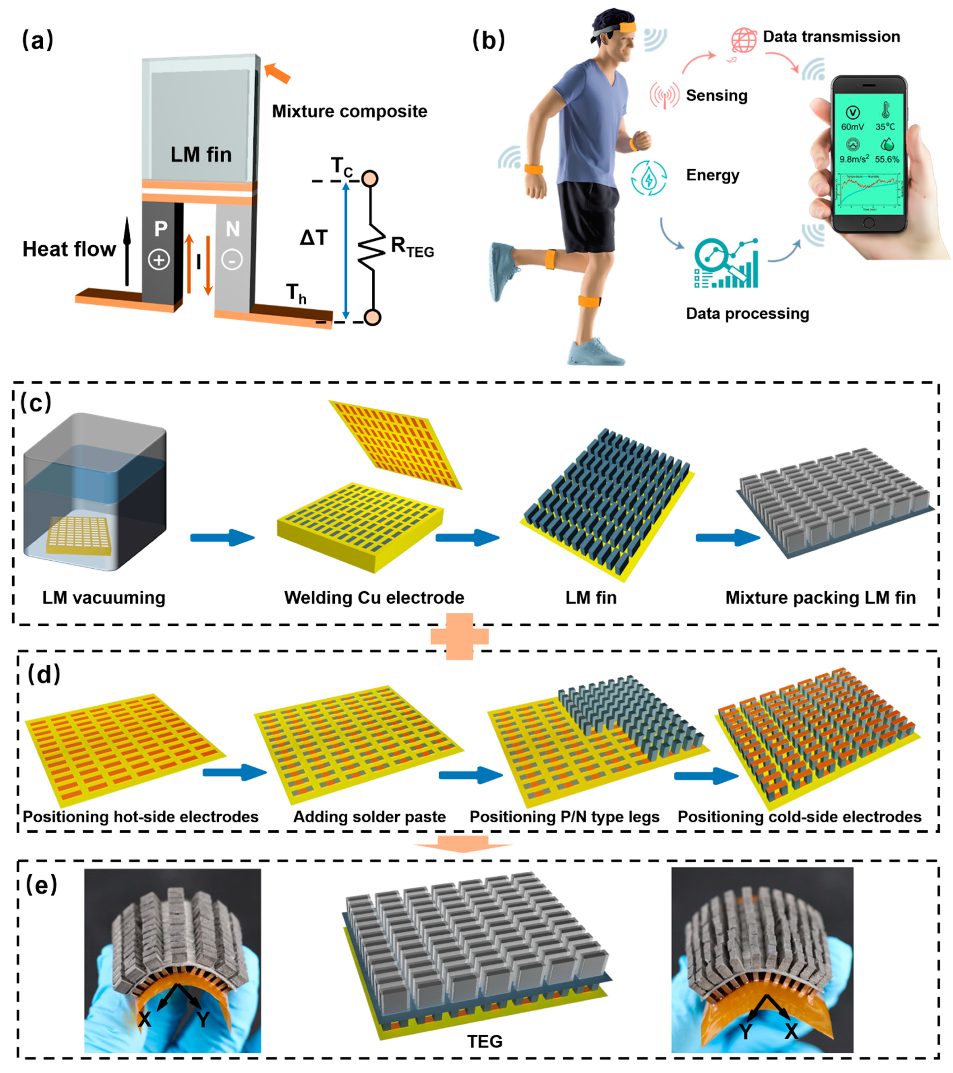 Bioengineering 09 00254 g001