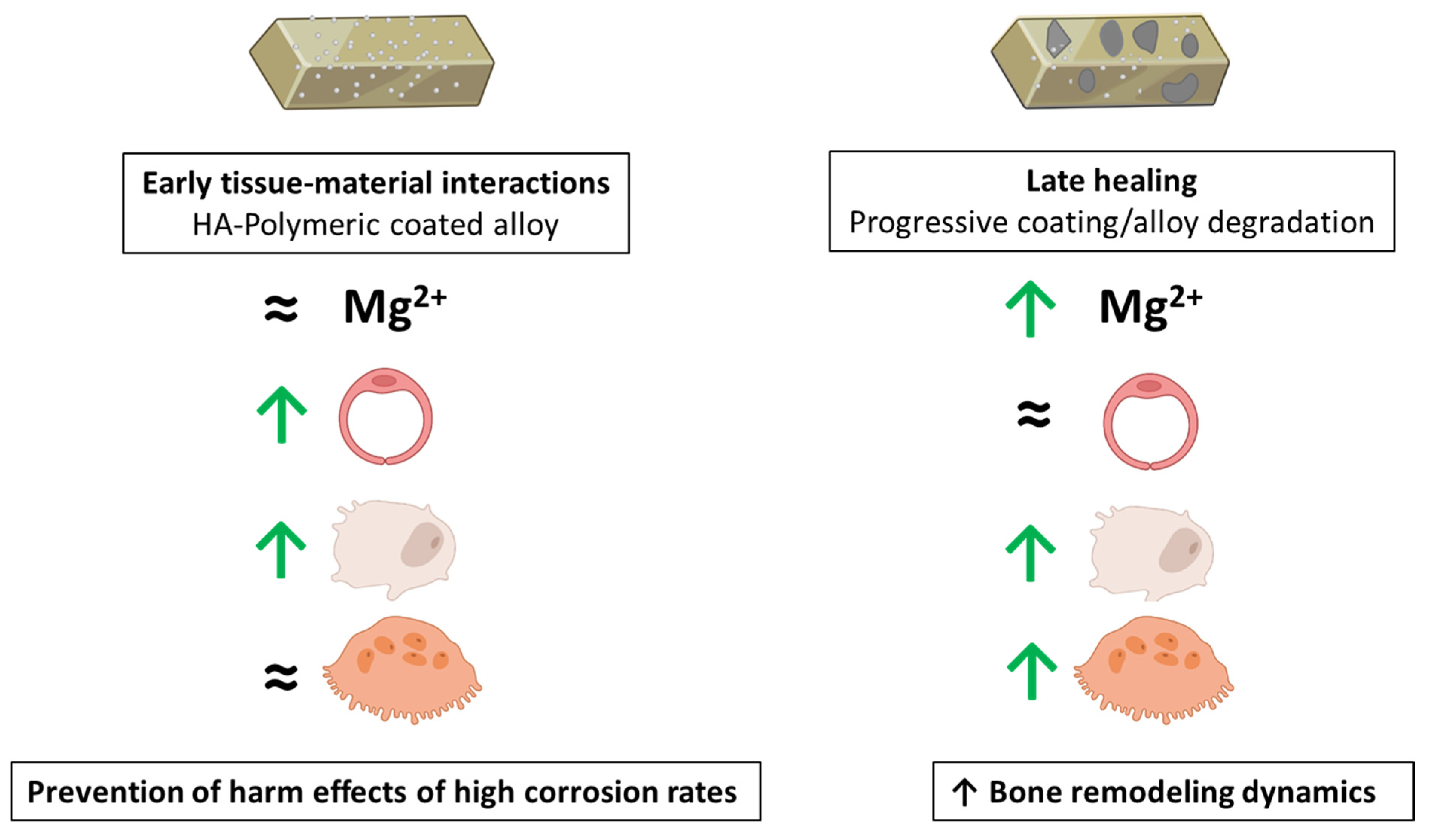 Bioengineering 09 00255 g007