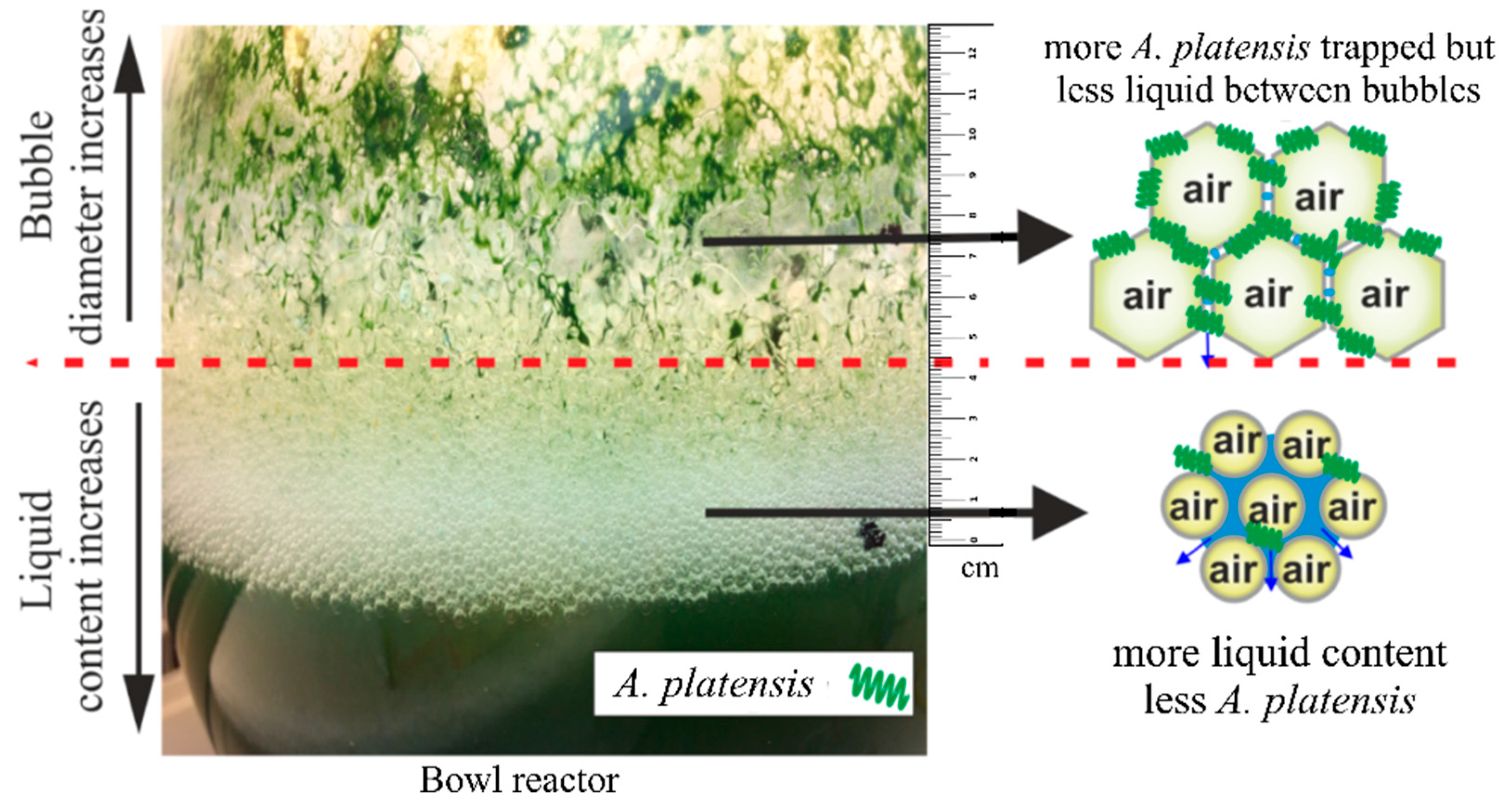 Bioengineering 09 00257 g001