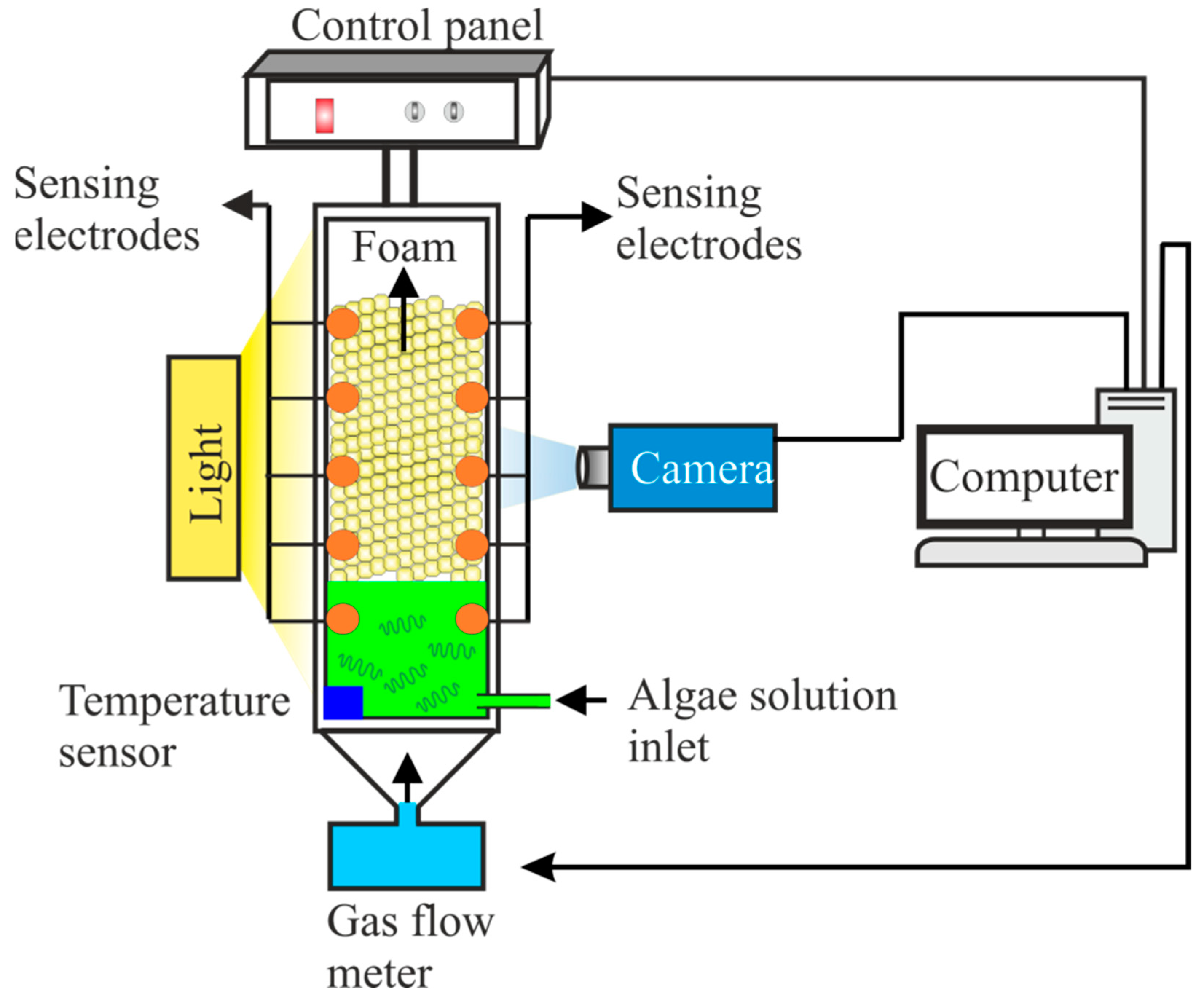 Bioengineering 09 00257 g002