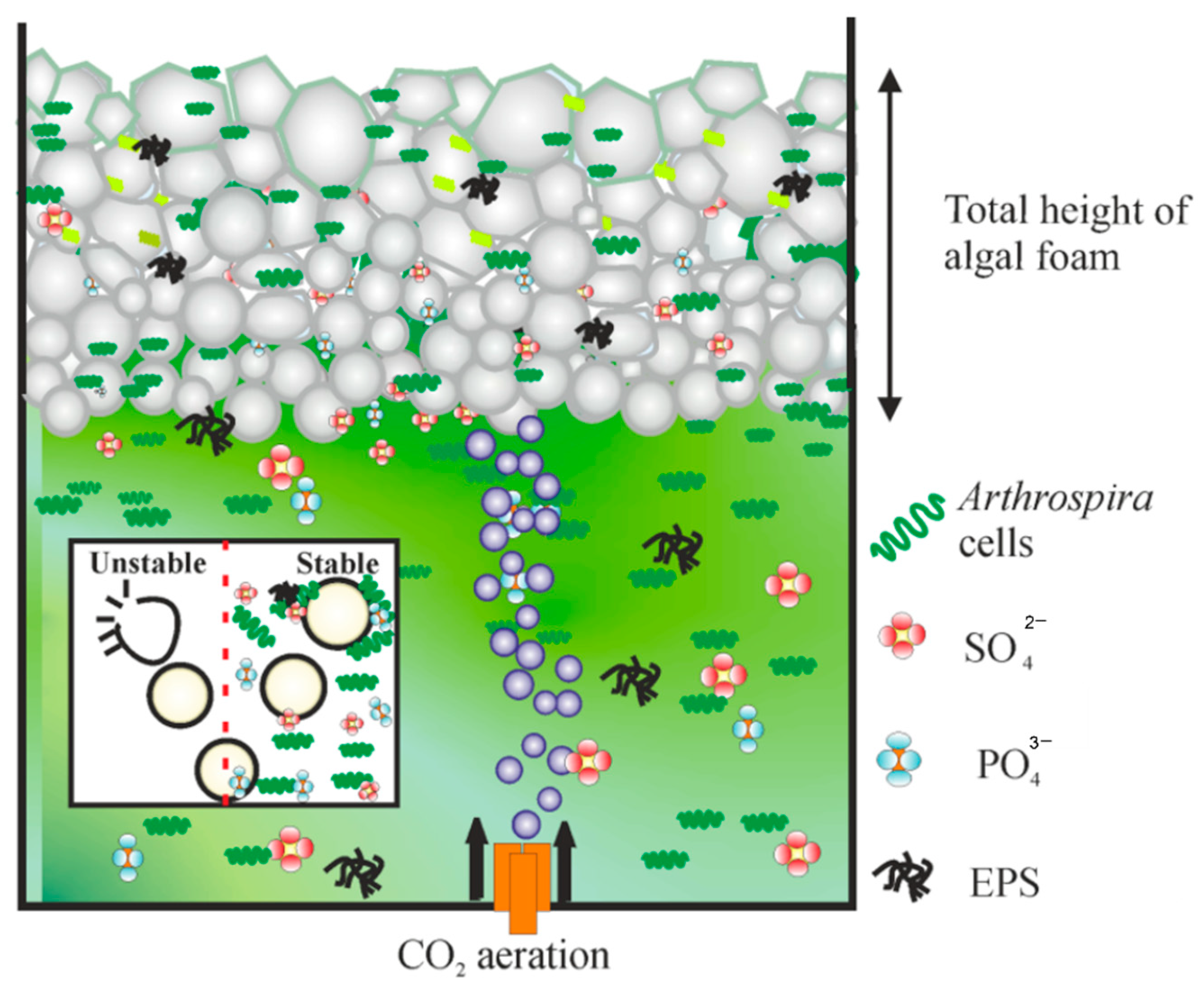 Bioengineering 09 00257 g003