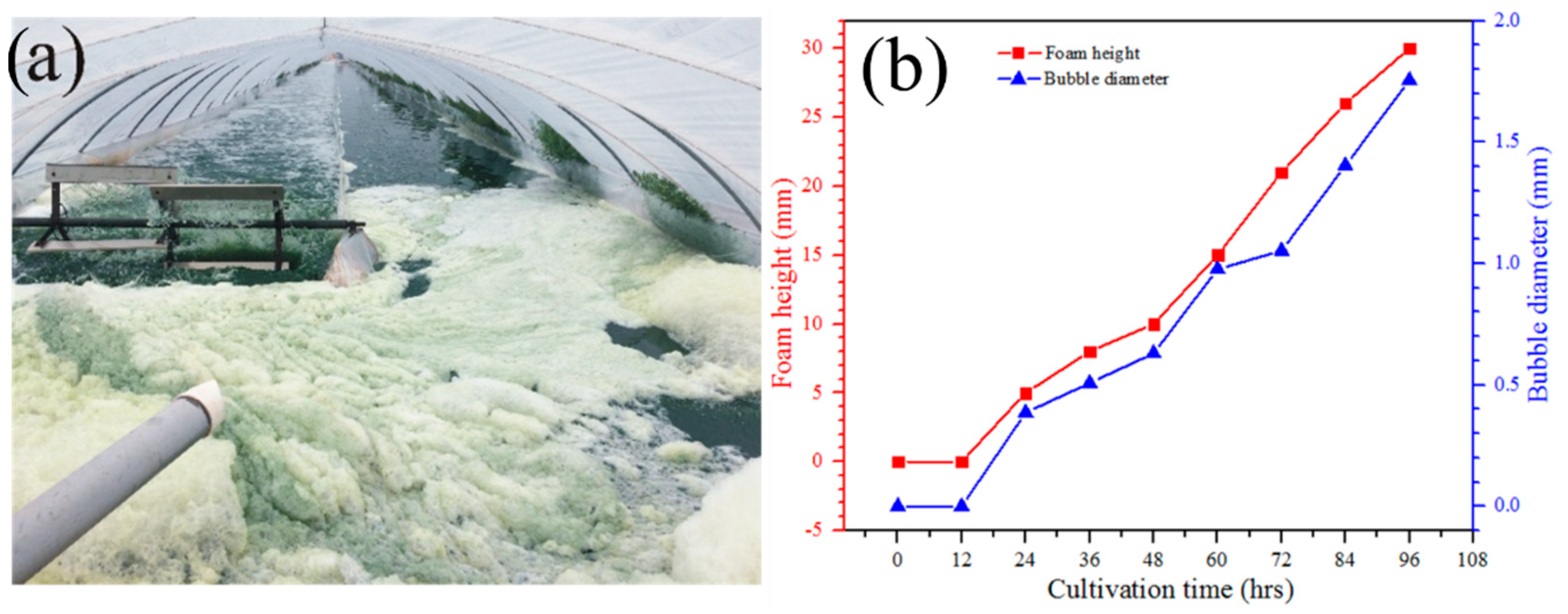 Bioengineering 09 00257 g004