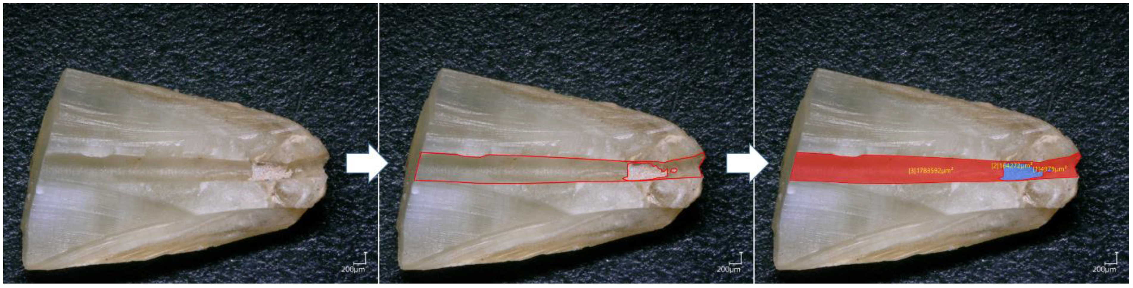 Bioengineering 09 00260 g002 Bioengineering 09 00260 g002