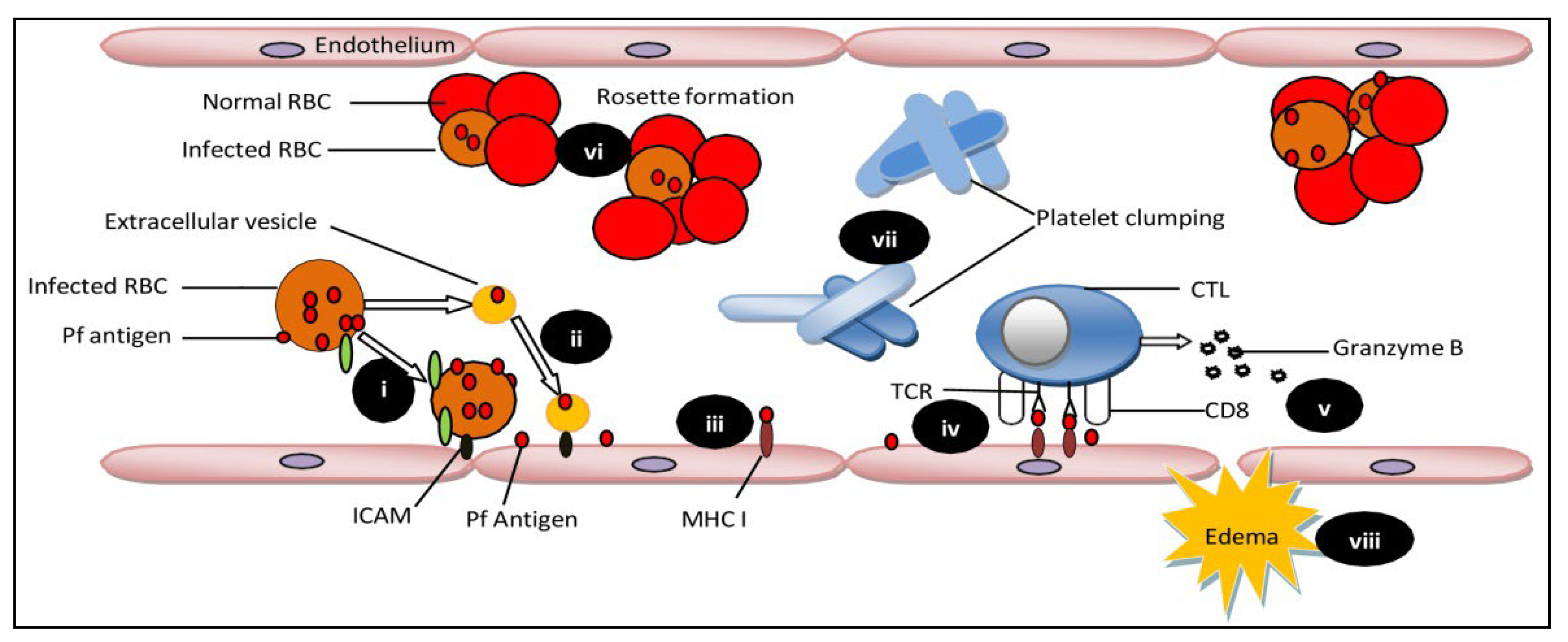 Bioengineering 09 00263 g001 550
