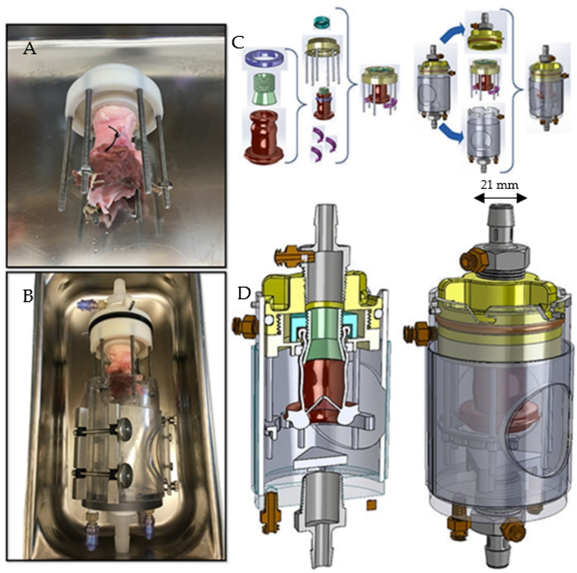 Bioengineering 09 00264 g001