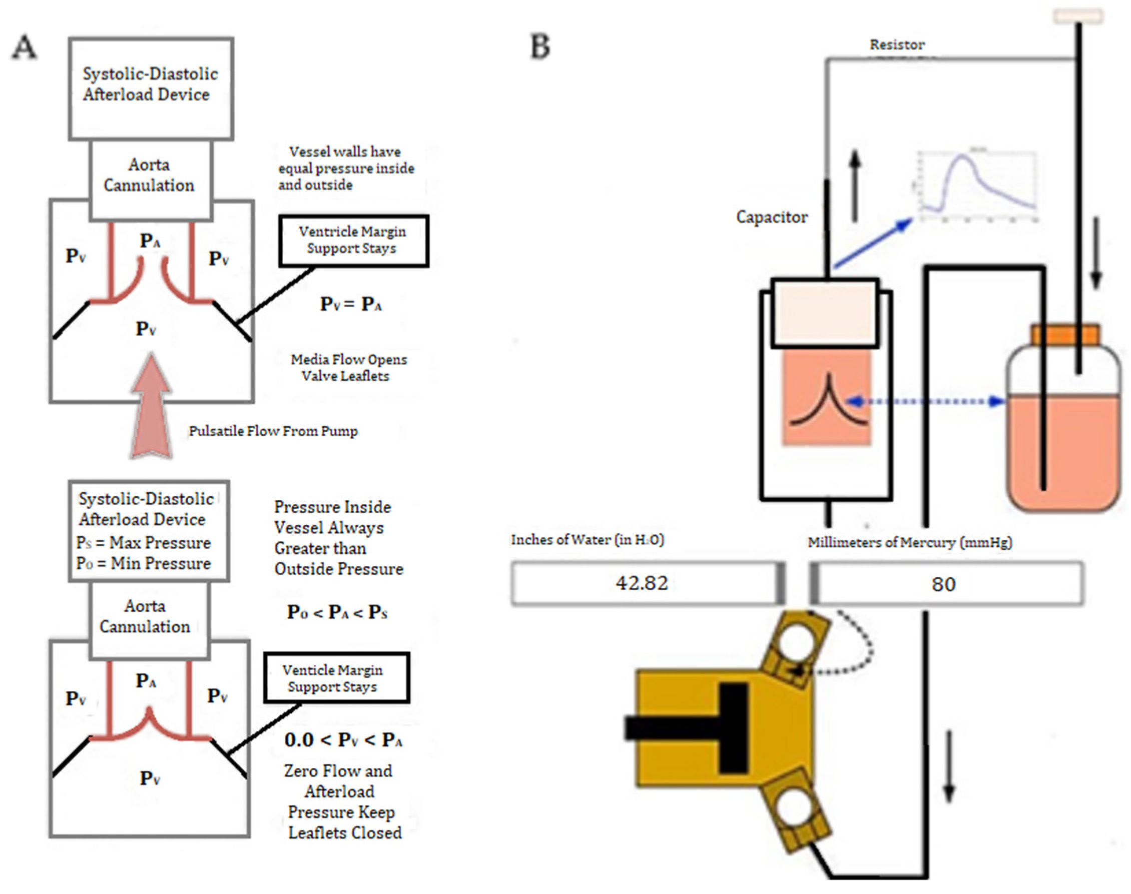 Bioengineering 09 00264 g002