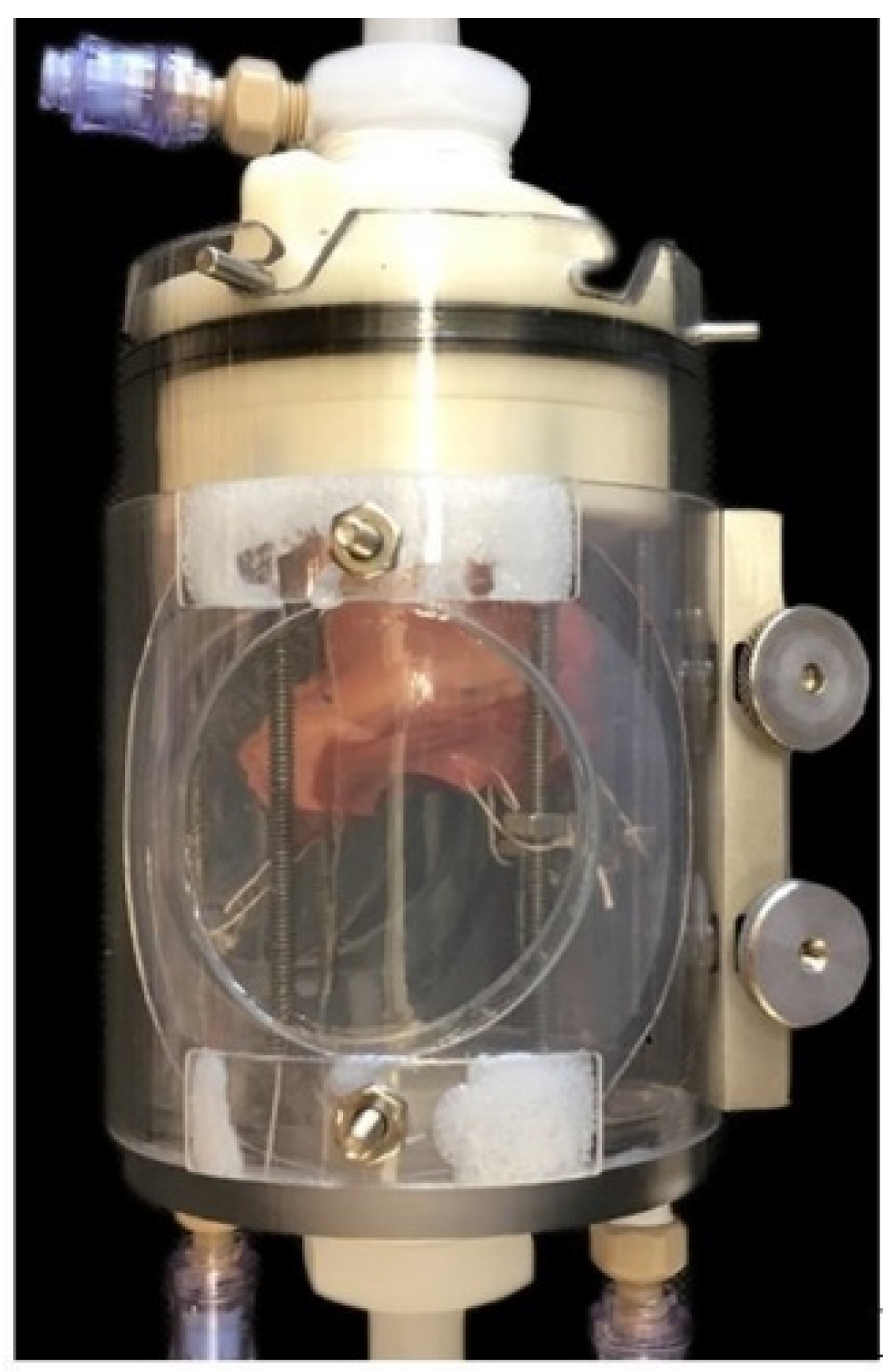 Bioengineering 09 00264 g004