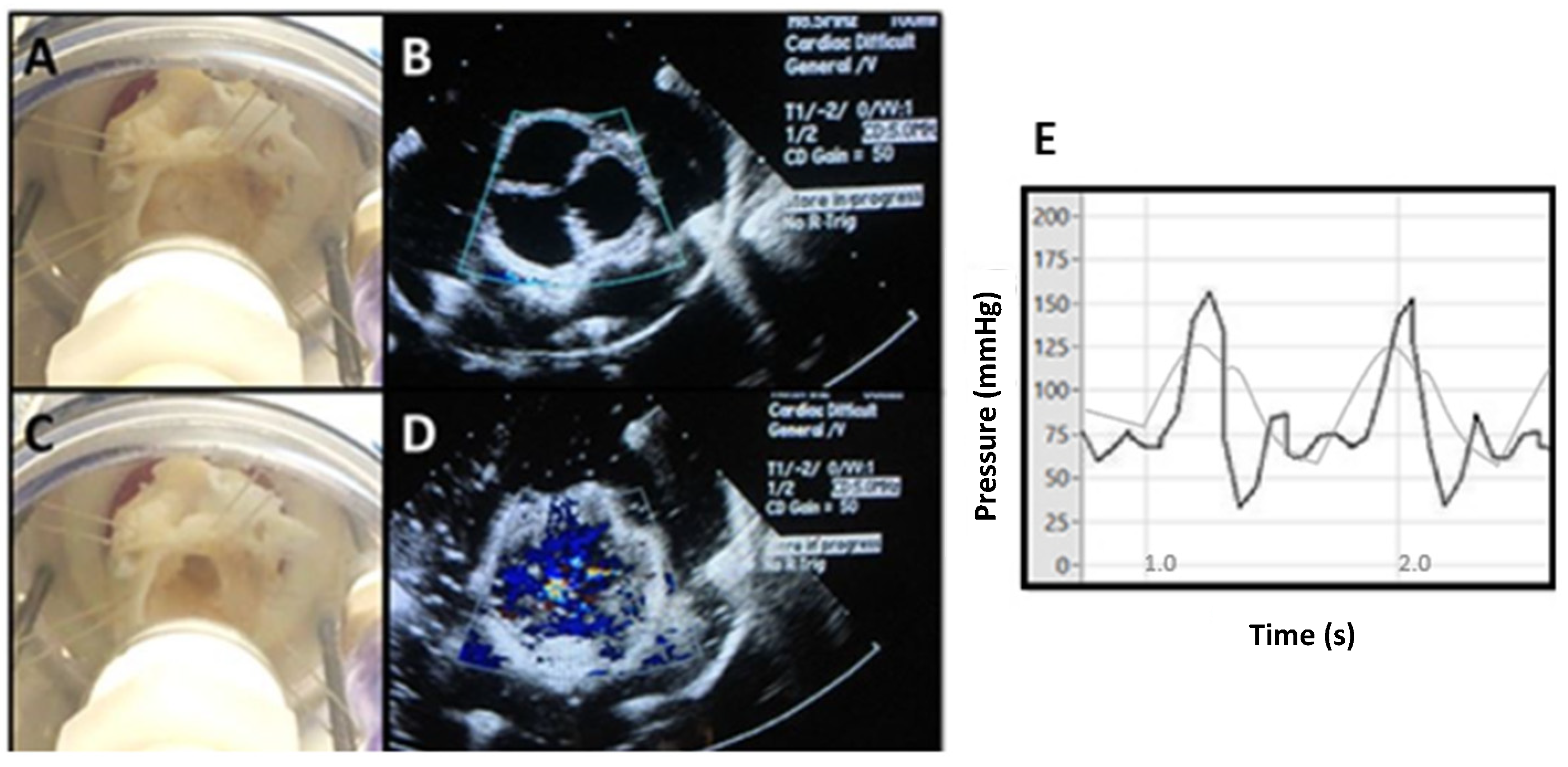 Bioengineering 09 00264 g006