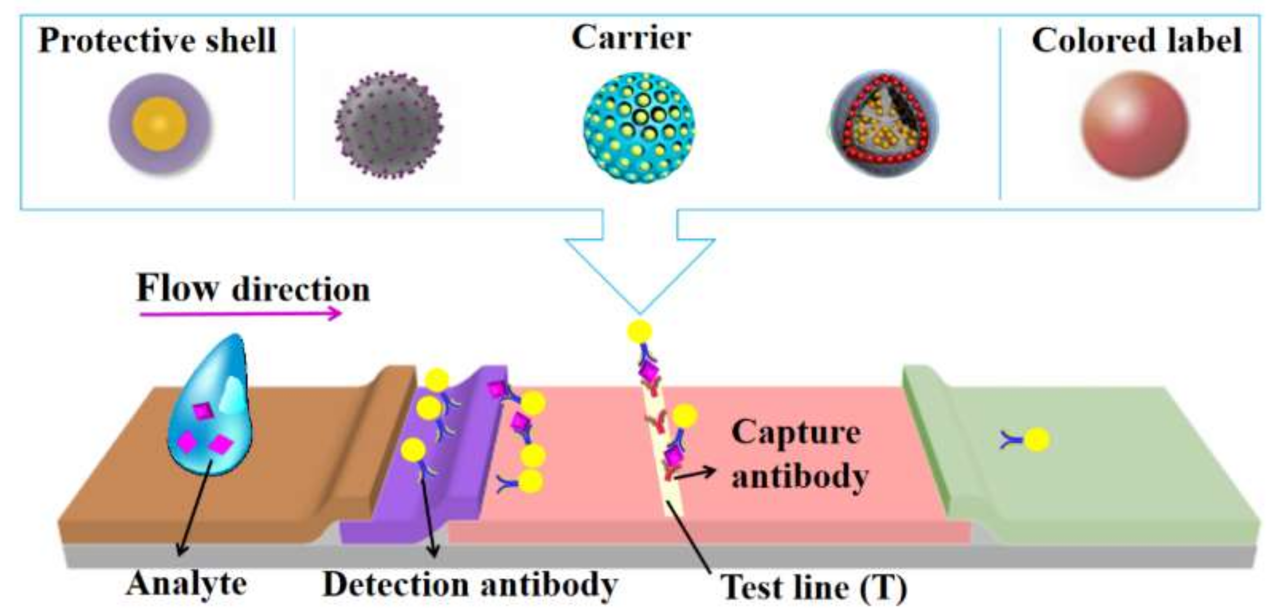 Battery Operated Preconcentration-assisted Lateral Flow Assay Bioengineering | Free Full-Text | Recent Advances in Silica